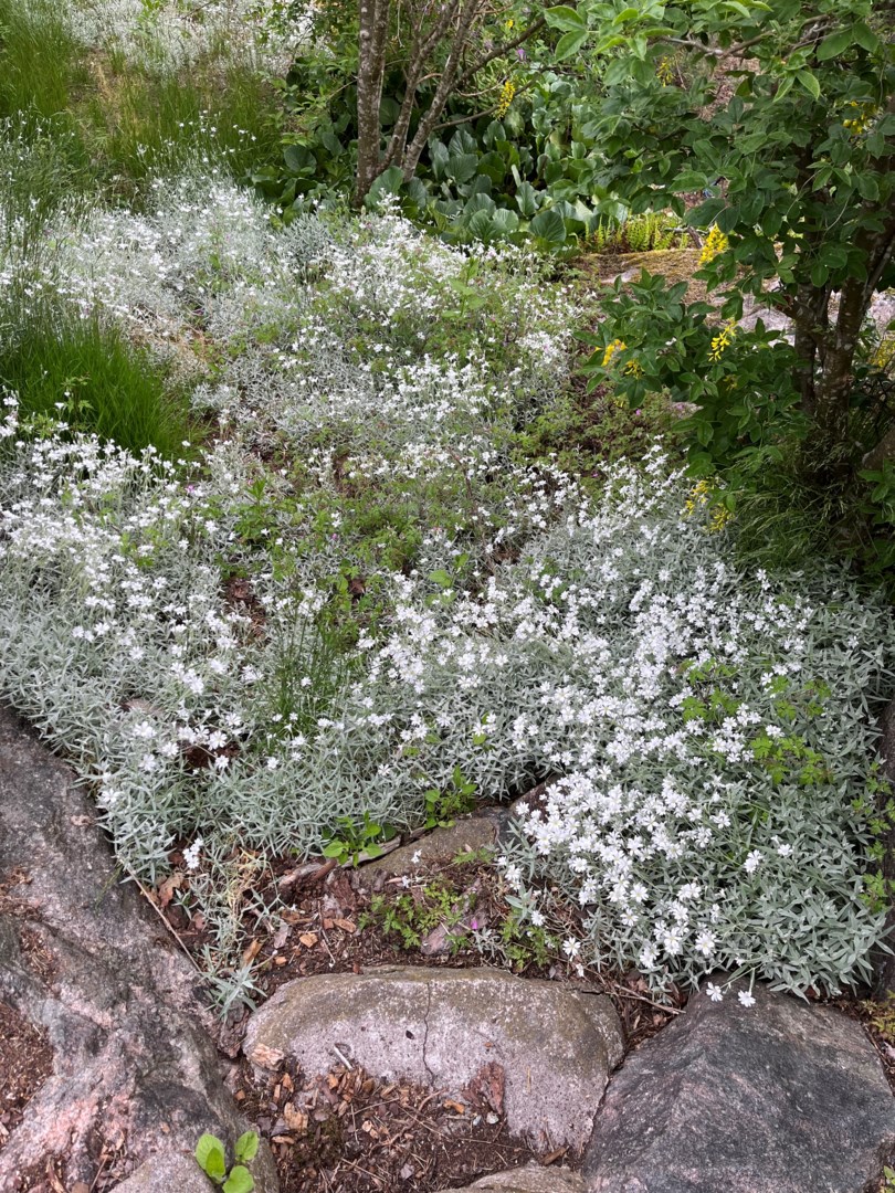 Bostadsbild från Njordvägen 20, Såld i Björknäs, Nacka