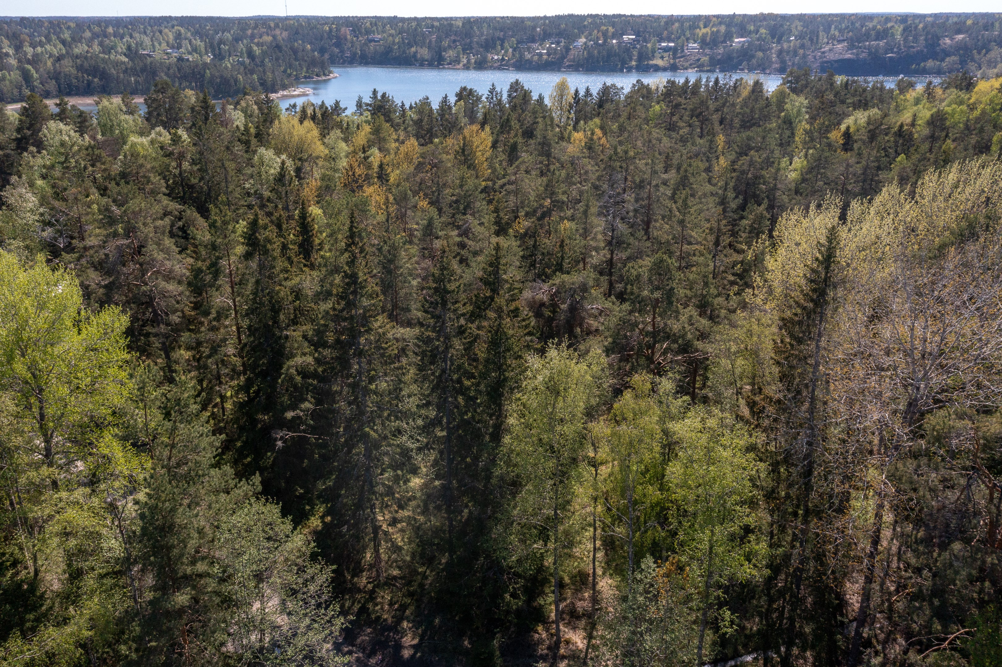 Vacker naturtomt om hela 5490 kvm i lugnt område med närhet till bad- och båtliv
