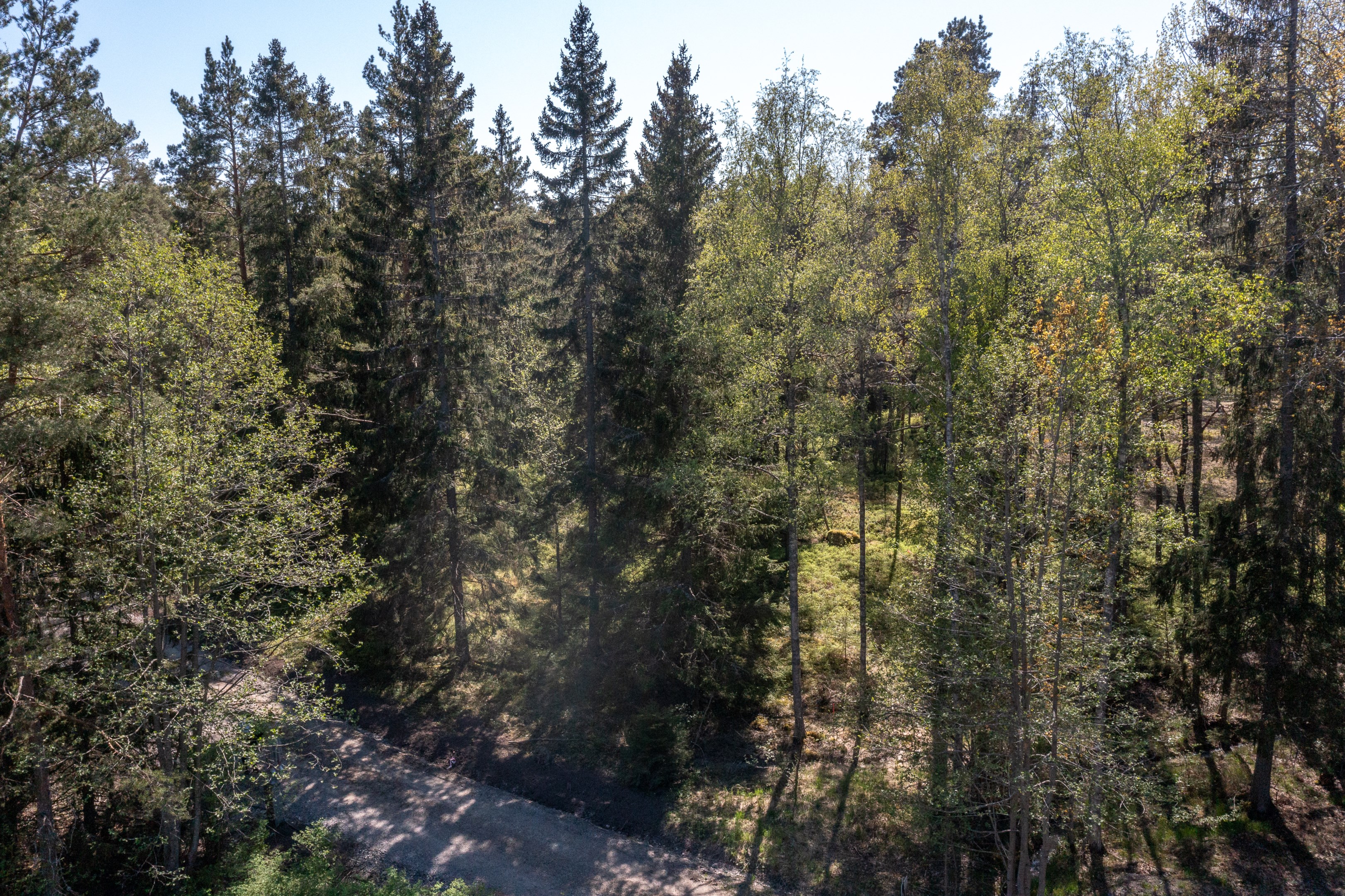 Ryttingevägen 30 - Vy från vägen i öster