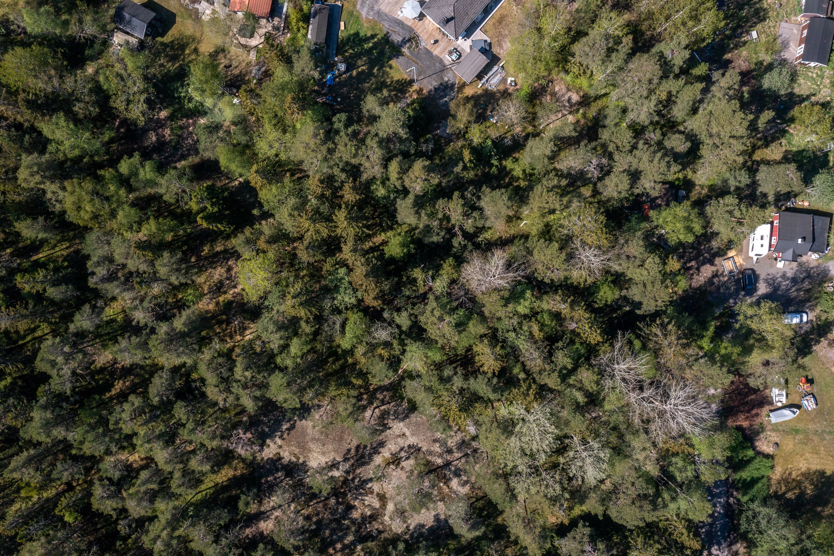 Anslutningspunkt för kommunalt VA finns i tomtgräns utmed Ryttingevägen