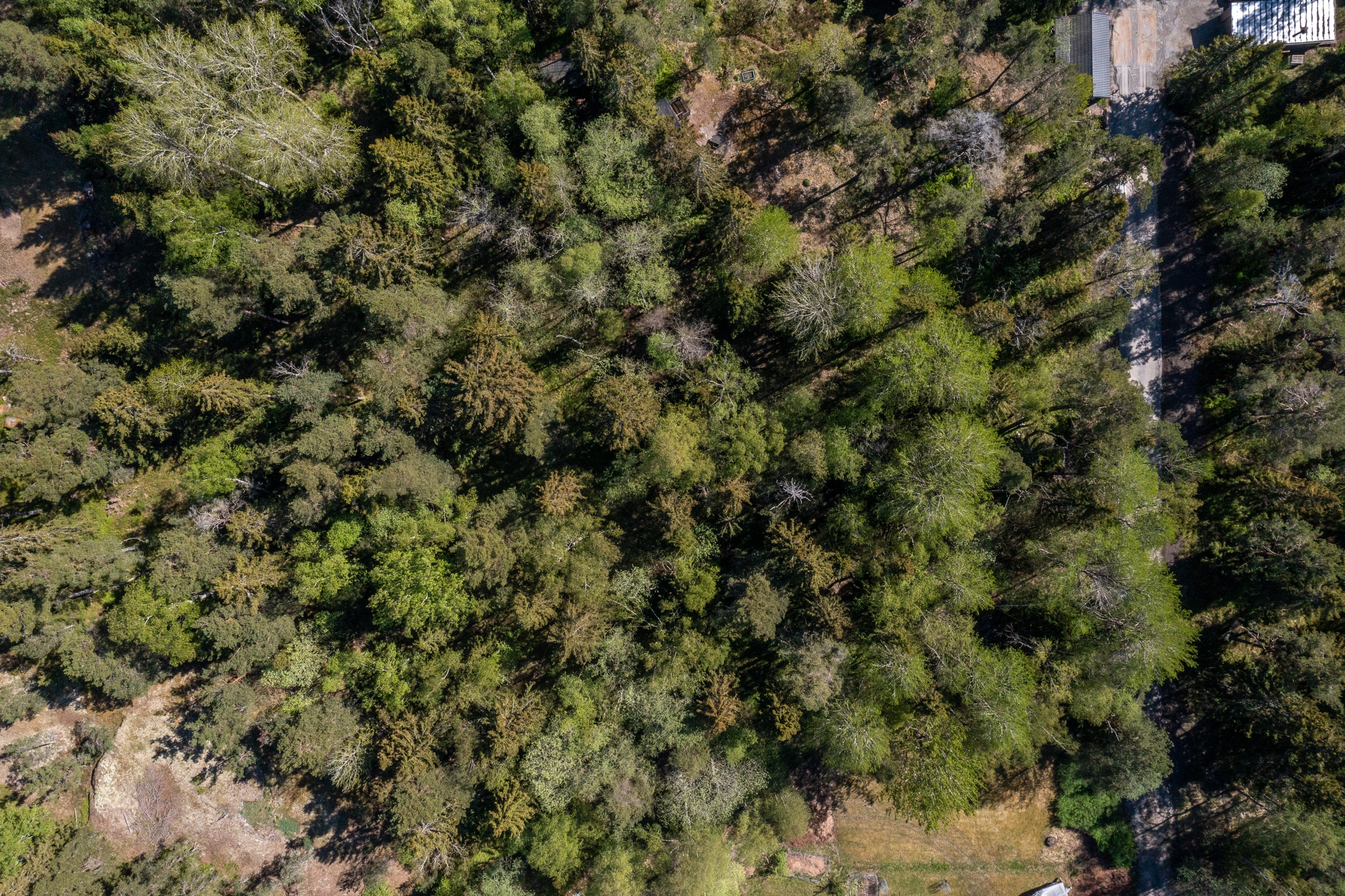 Ryttingevägen 24 i vinkel från ovan 