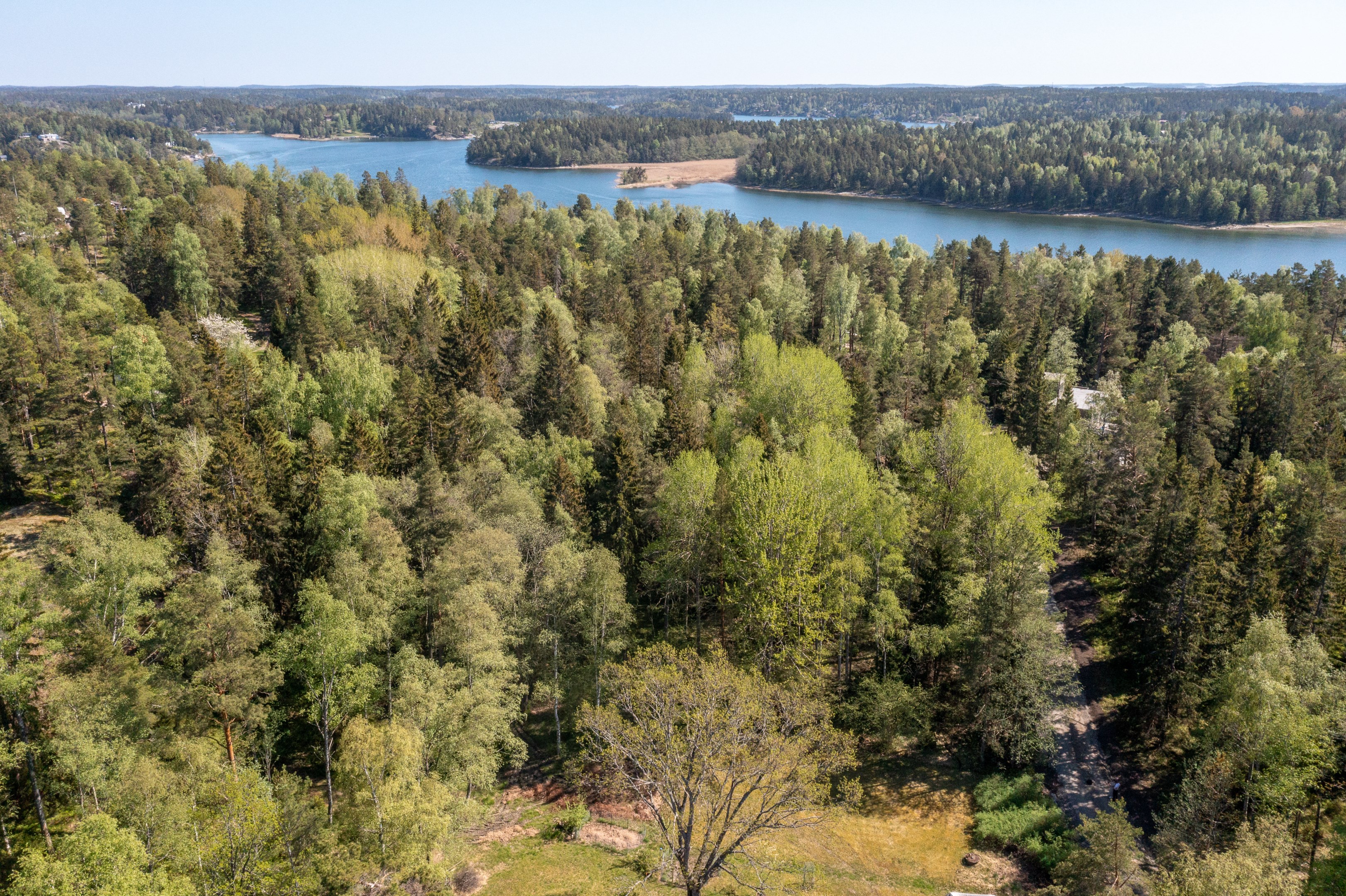 Vacker naturtomt om hela 6250 kvm i lugnt område med närhet till bad- och båtliv