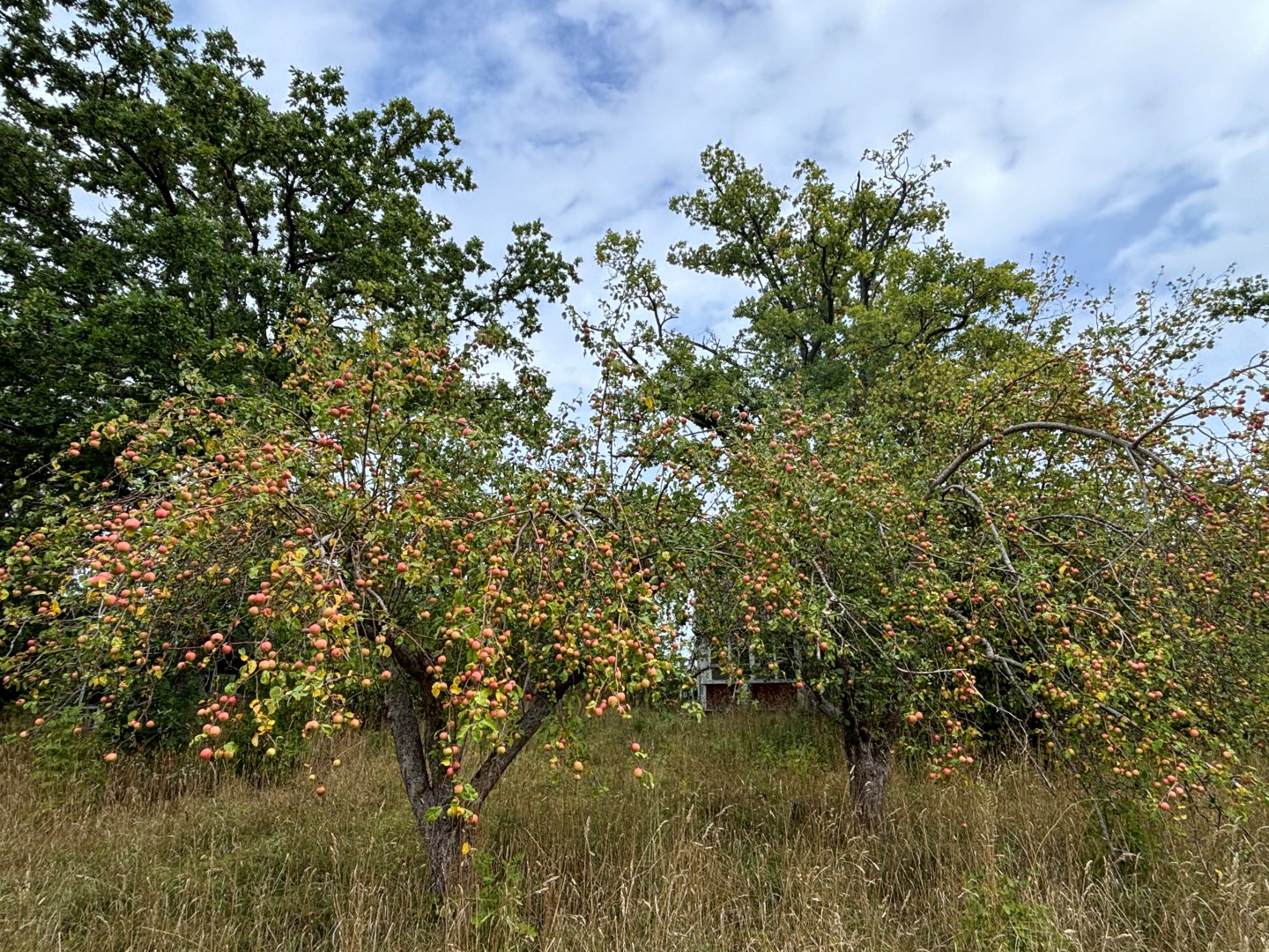 Bostadsbild från Vikingshillsvägen 1, Såld i Kummelnäs, Nacka