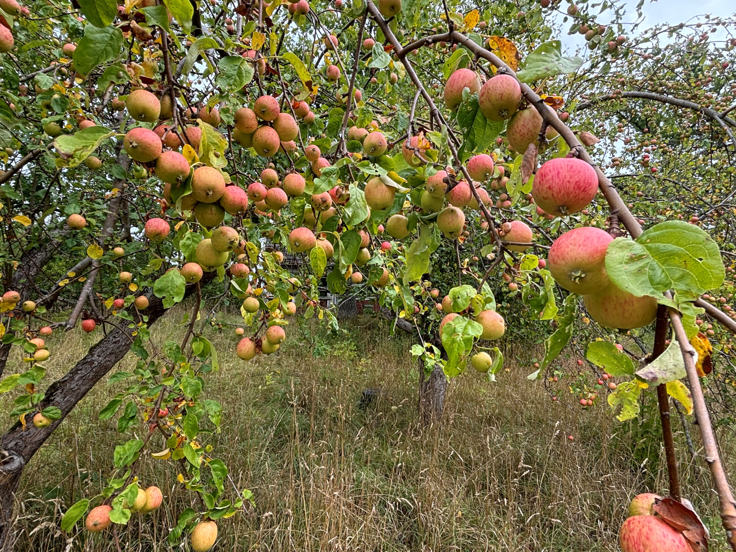 Bostadsbild från Vikingshillsvägen 1, Såld i Kummelnäs, Nacka