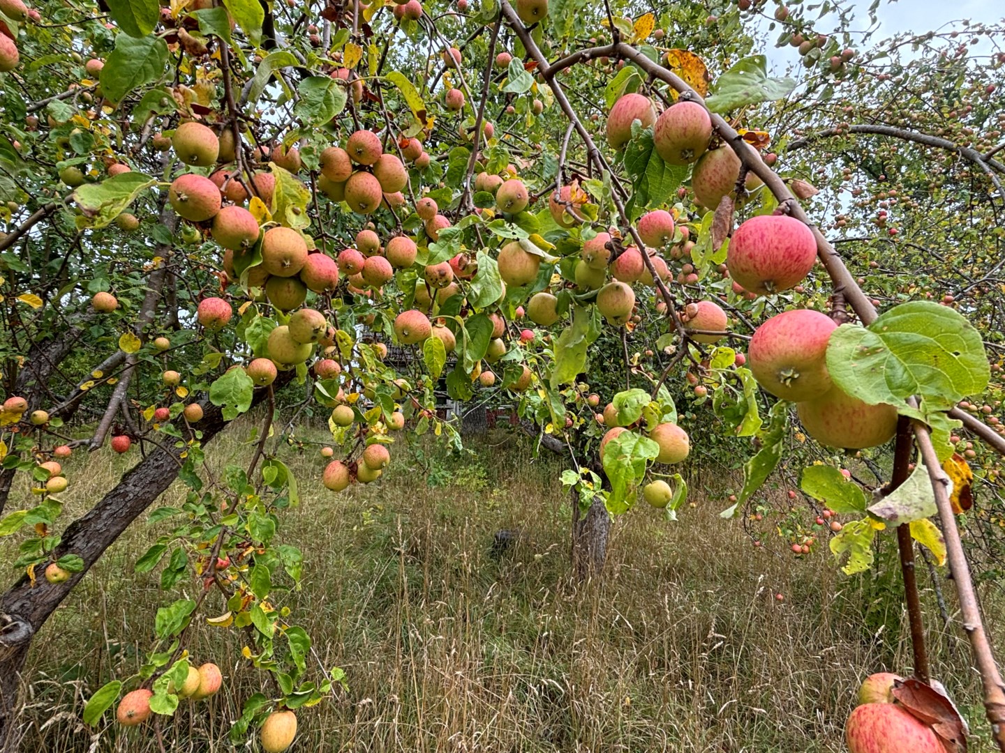 Bostadsbild från Vikingshillsvägen 1, Såld i Kummelnäs, Nacka