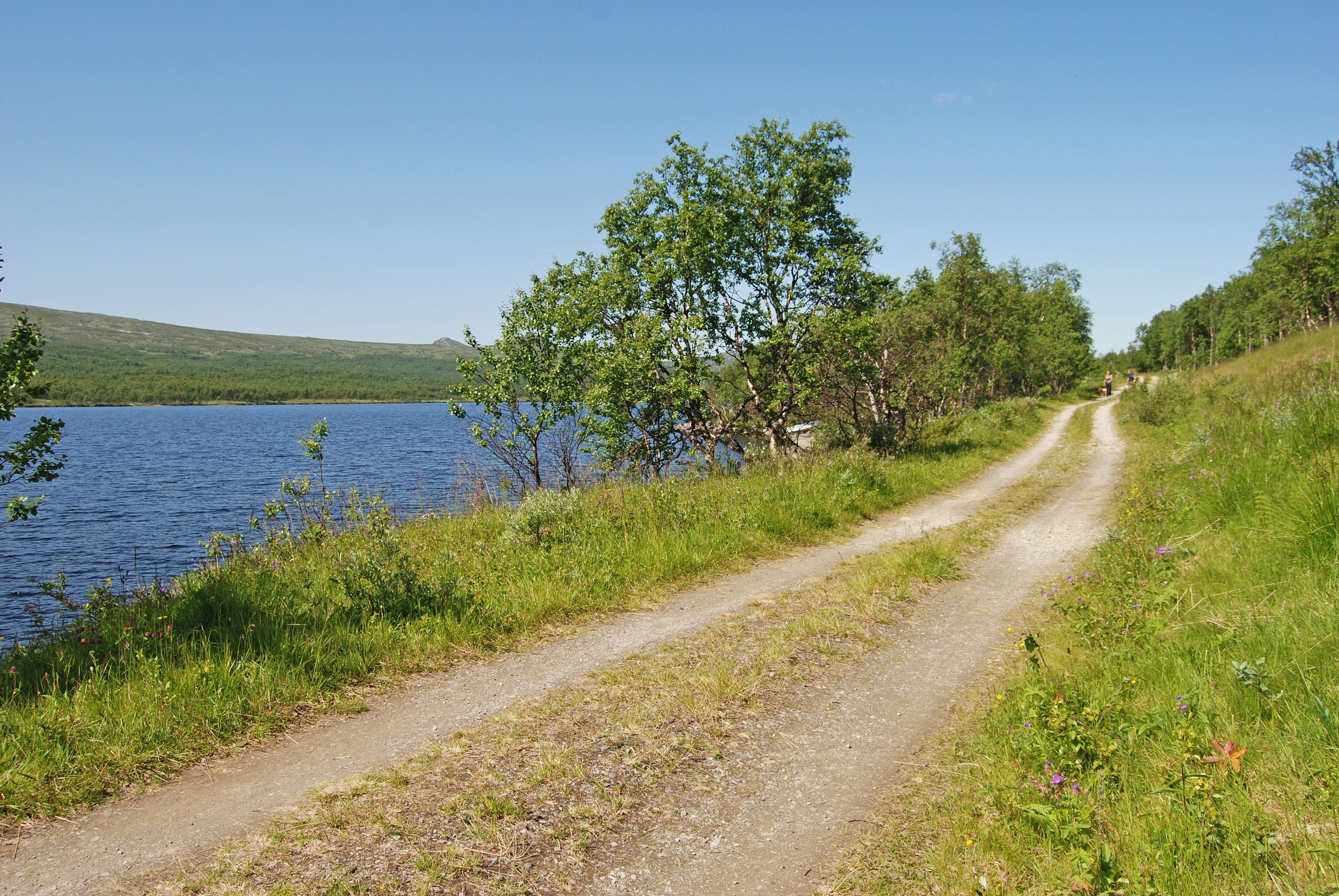 Trevlig liten grusväg längs ...