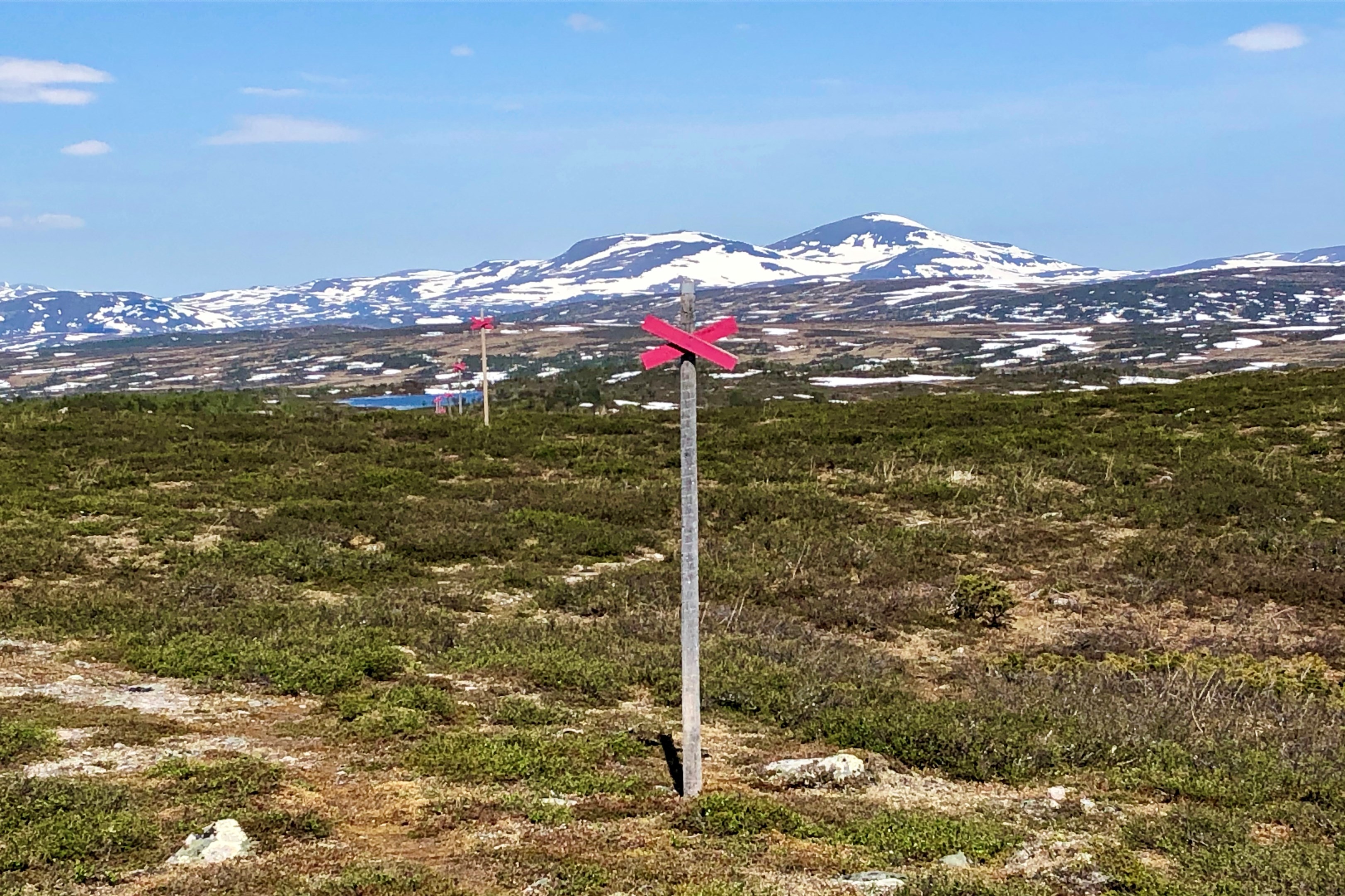 Malmagsvålen en försommardag.