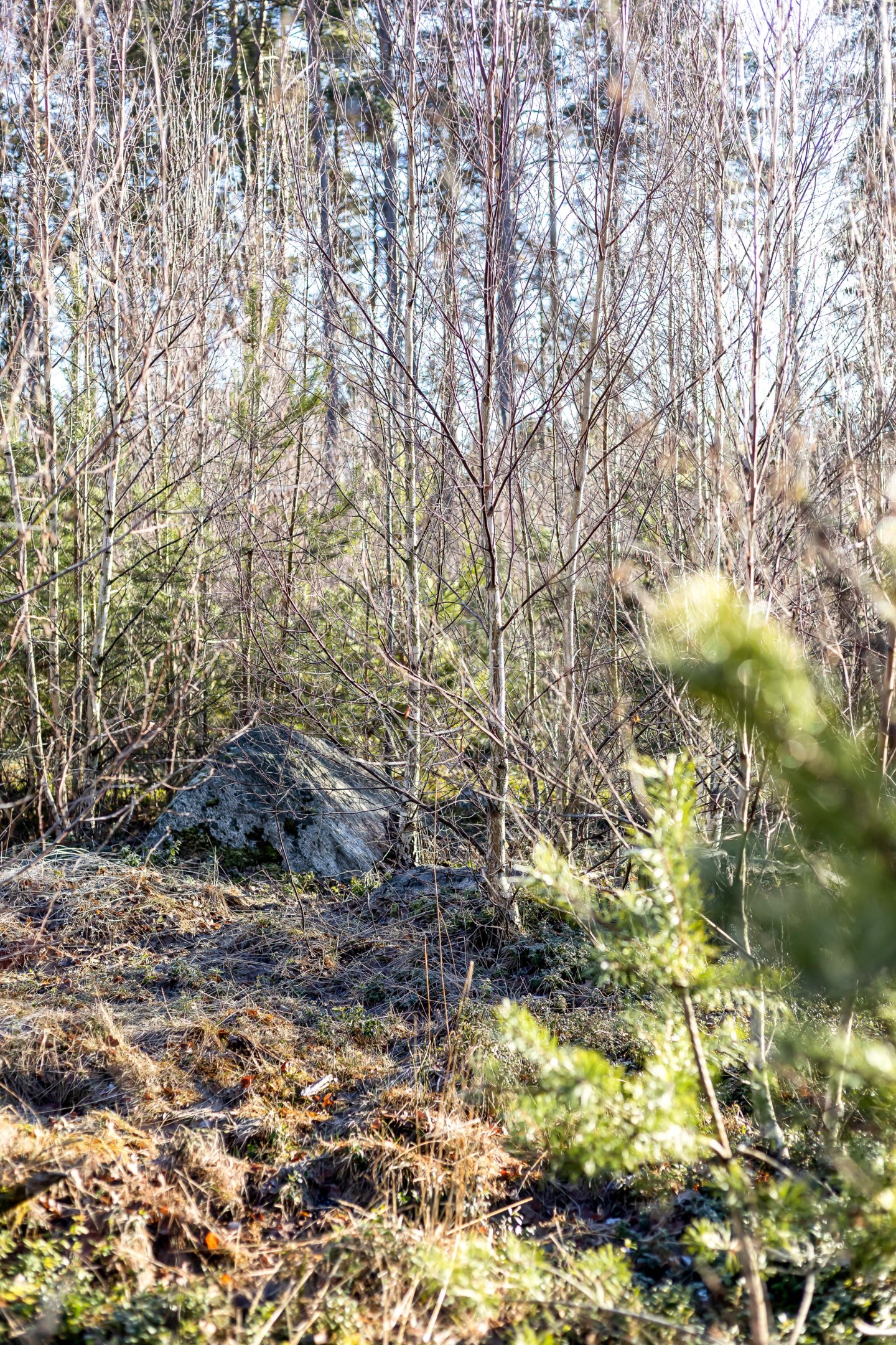 Bostadsbild från Fullerö 302, Till salu i Fullerö, Uppsala
