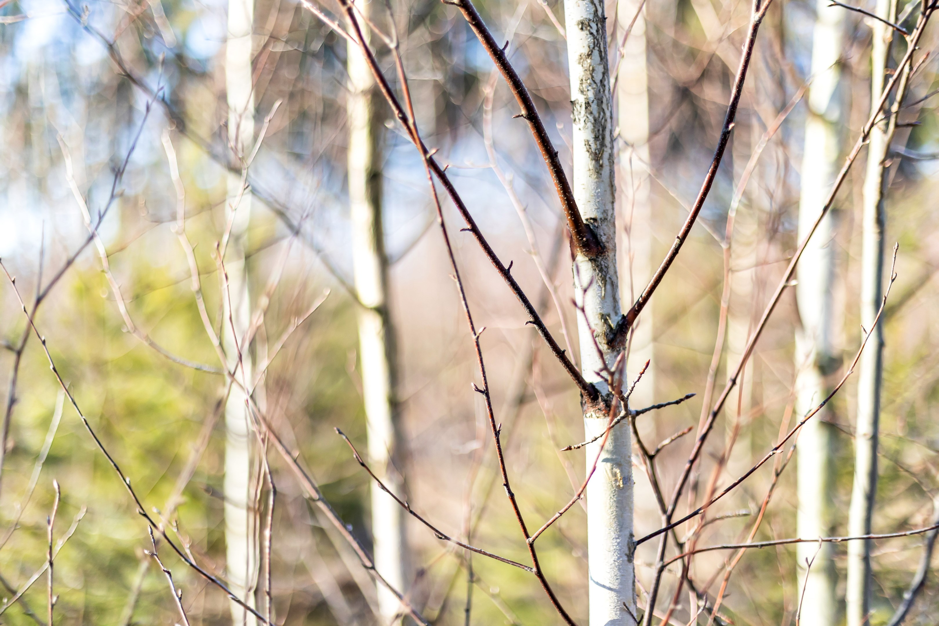 Bostadsbild från Fullerö 302, Till salu i Fullerö, Uppsala