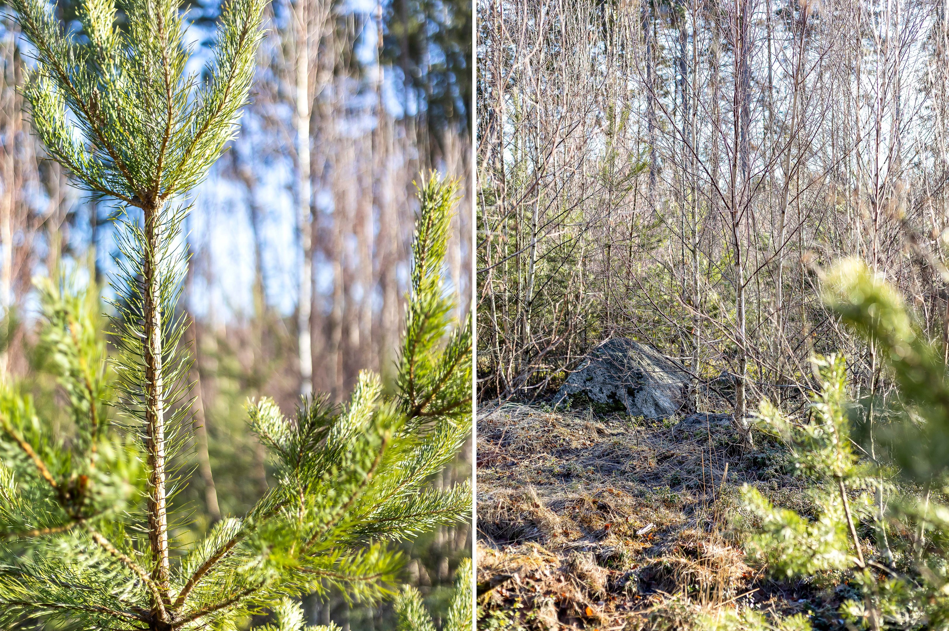 Bostadsbild från Fullerö 302, Till salu i Fullerö, Uppsala