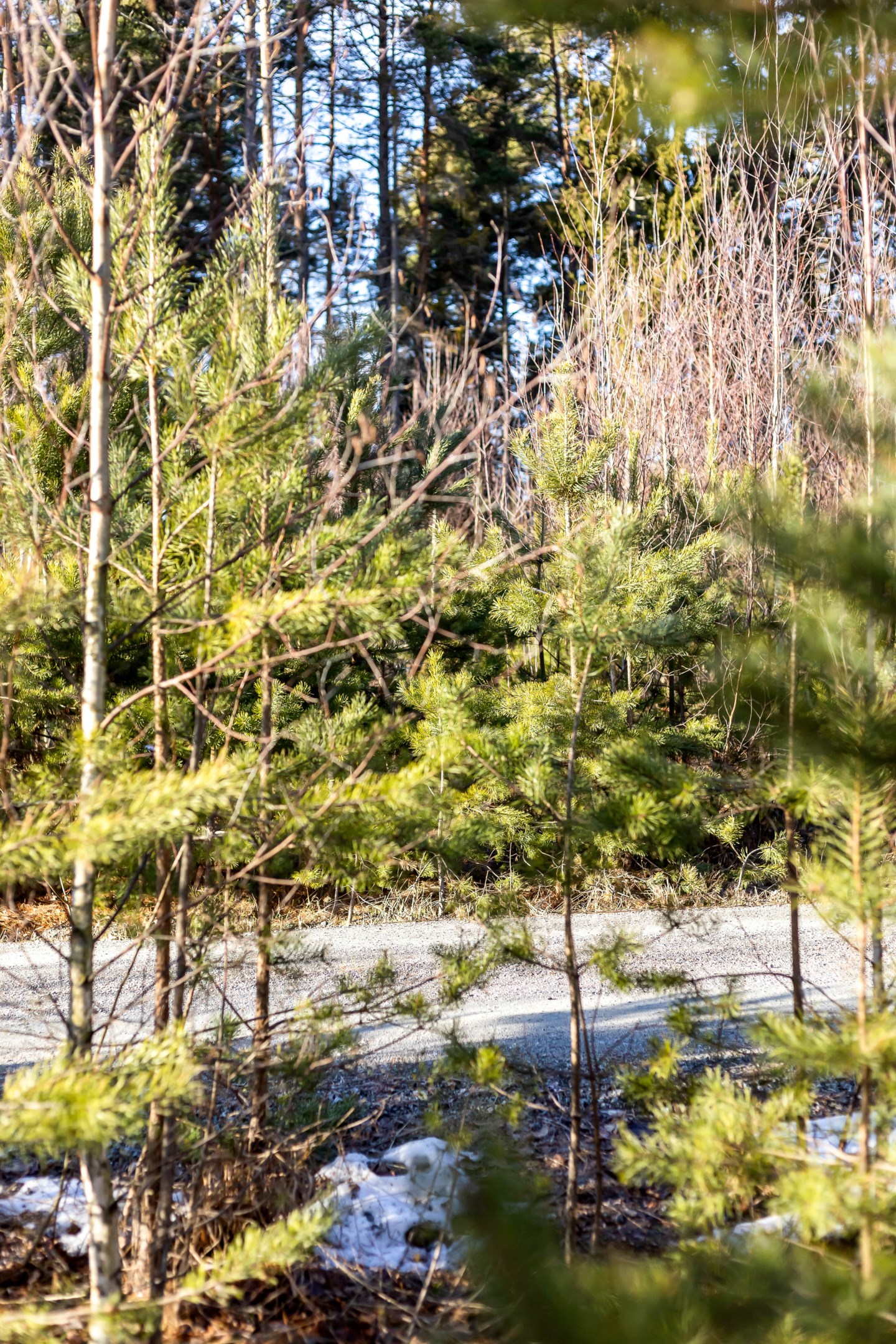 Bostadsbild från Fullerö 302, Till salu i Fullerö, Uppsala