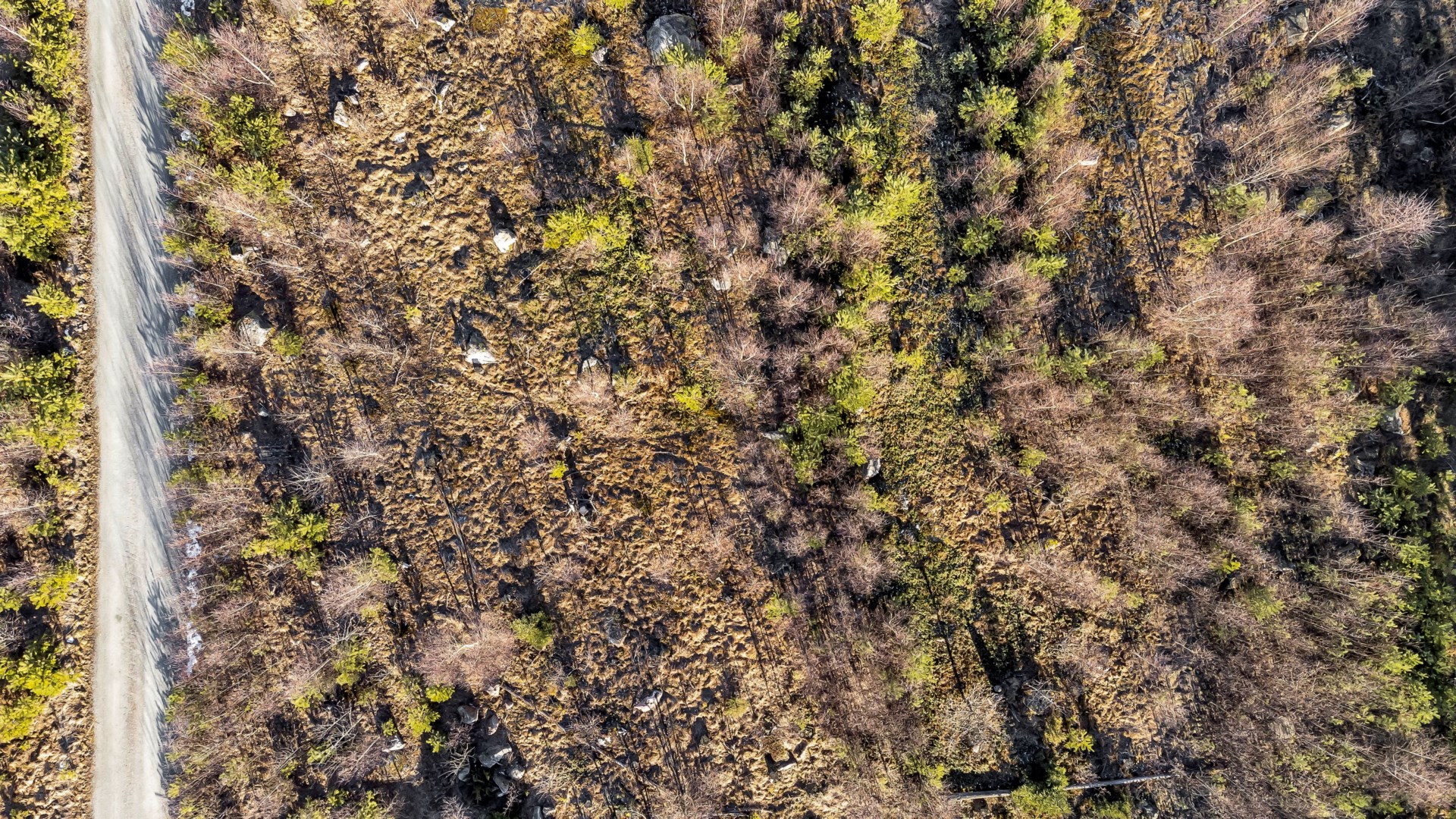 Bostadsbild från Fullerö 302, Till salu i Fullerö, Uppsala