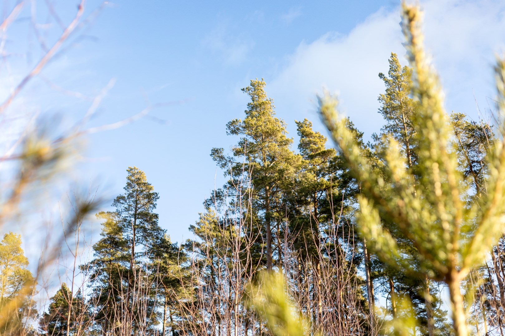 Bostadsbild från Fullerö 302, Till salu i Fullerö, Uppsala