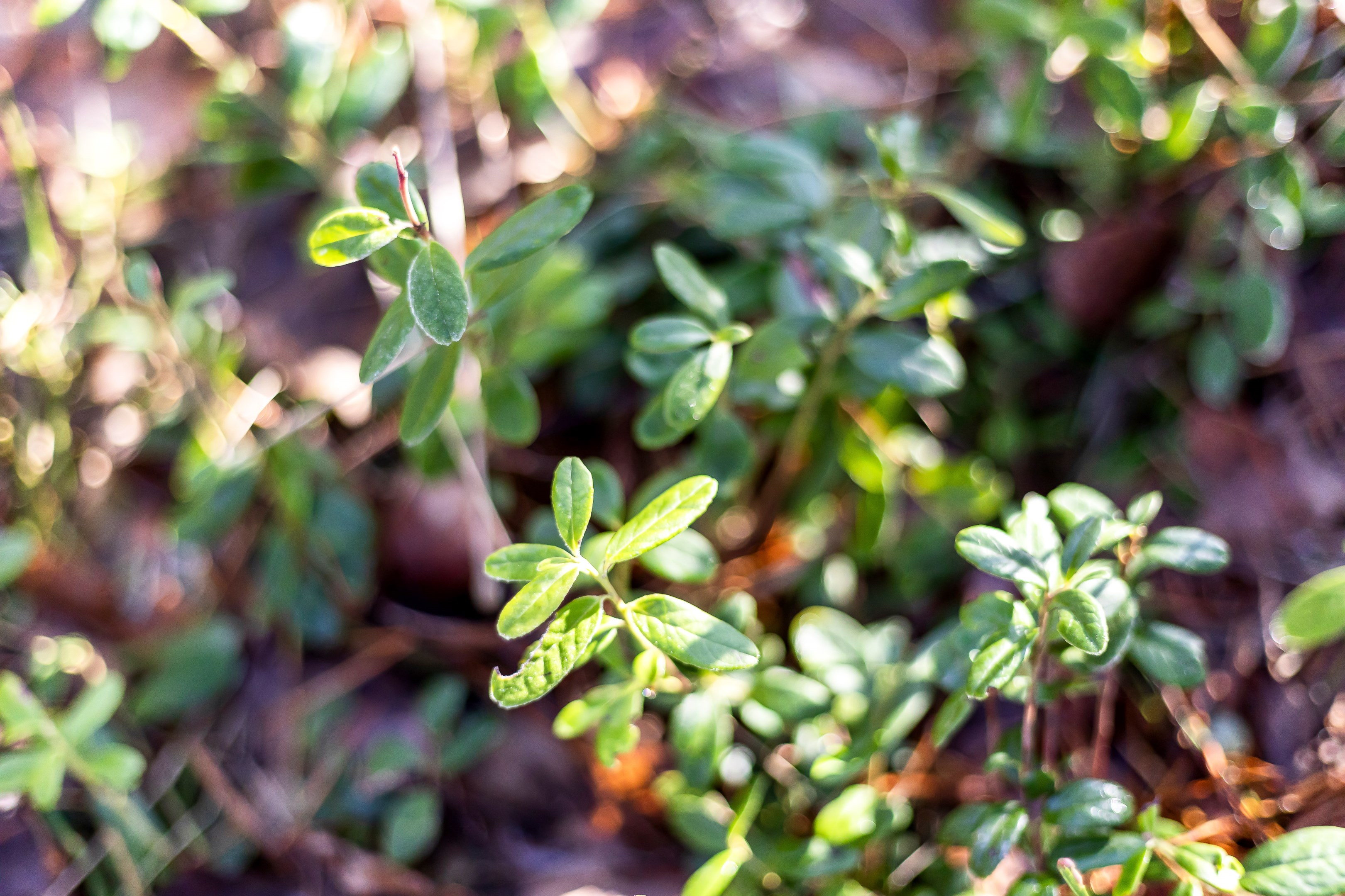 Bostadsbild från Fullerö 302, Till salu i Fullerö, Uppsala