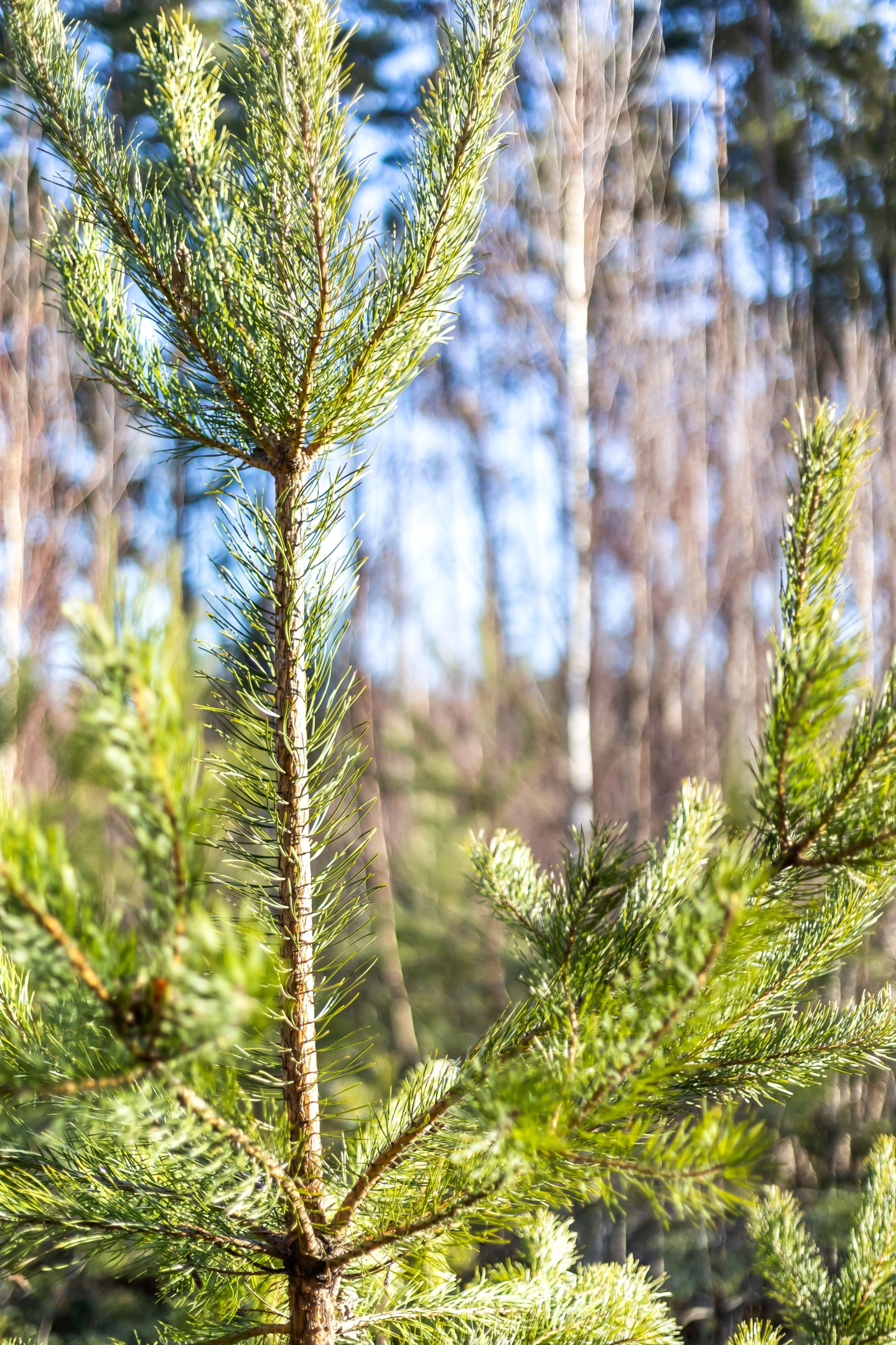 Bostadsbild från Fullerö 302, Till salu i Fullerö, Uppsala
