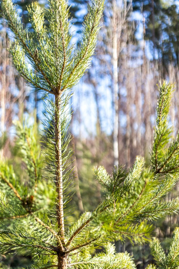 Bostadsbild från Fullerö 302, Till salu i Fullerö, Uppsala