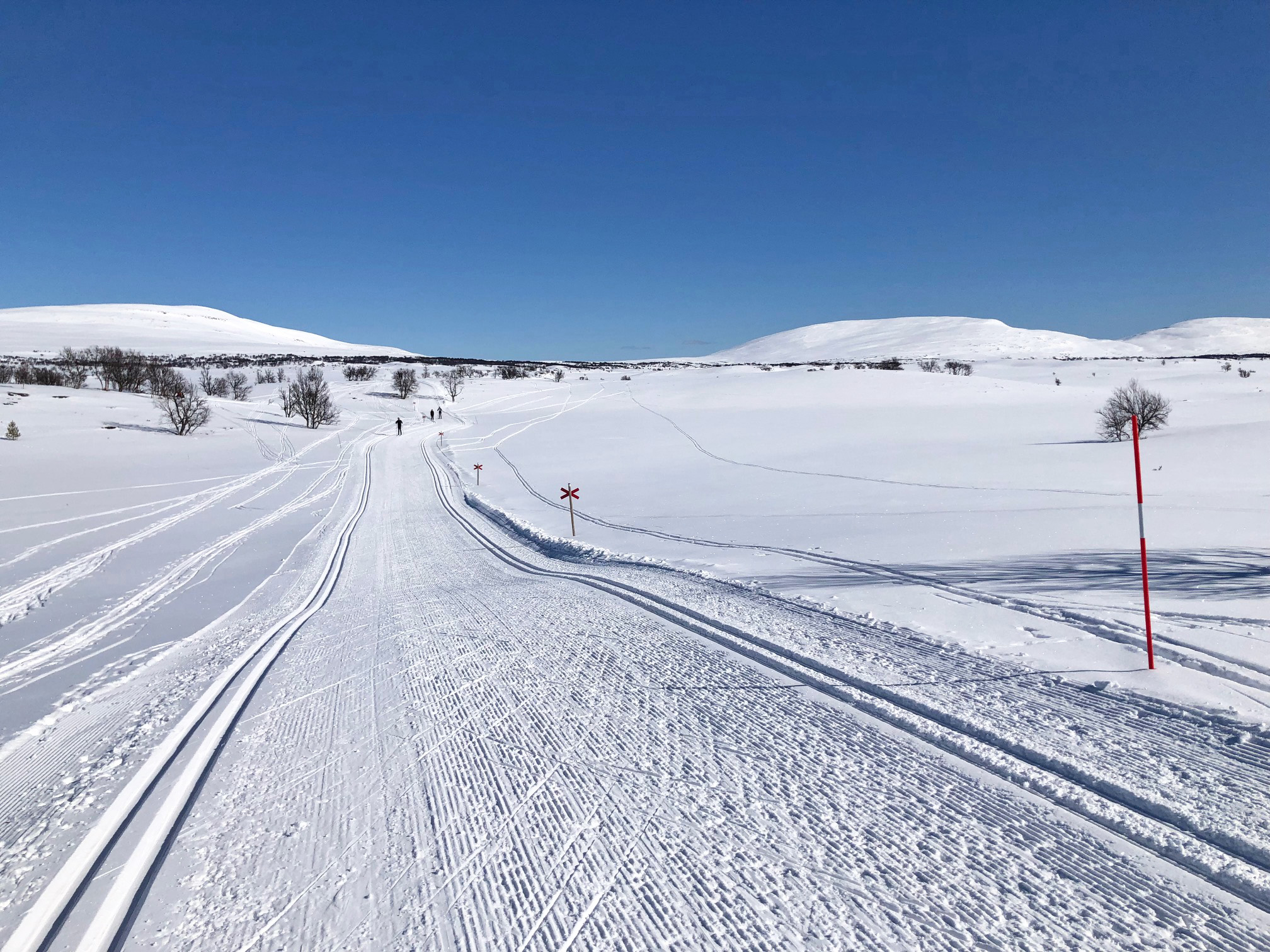 ... preparerade skidspår...