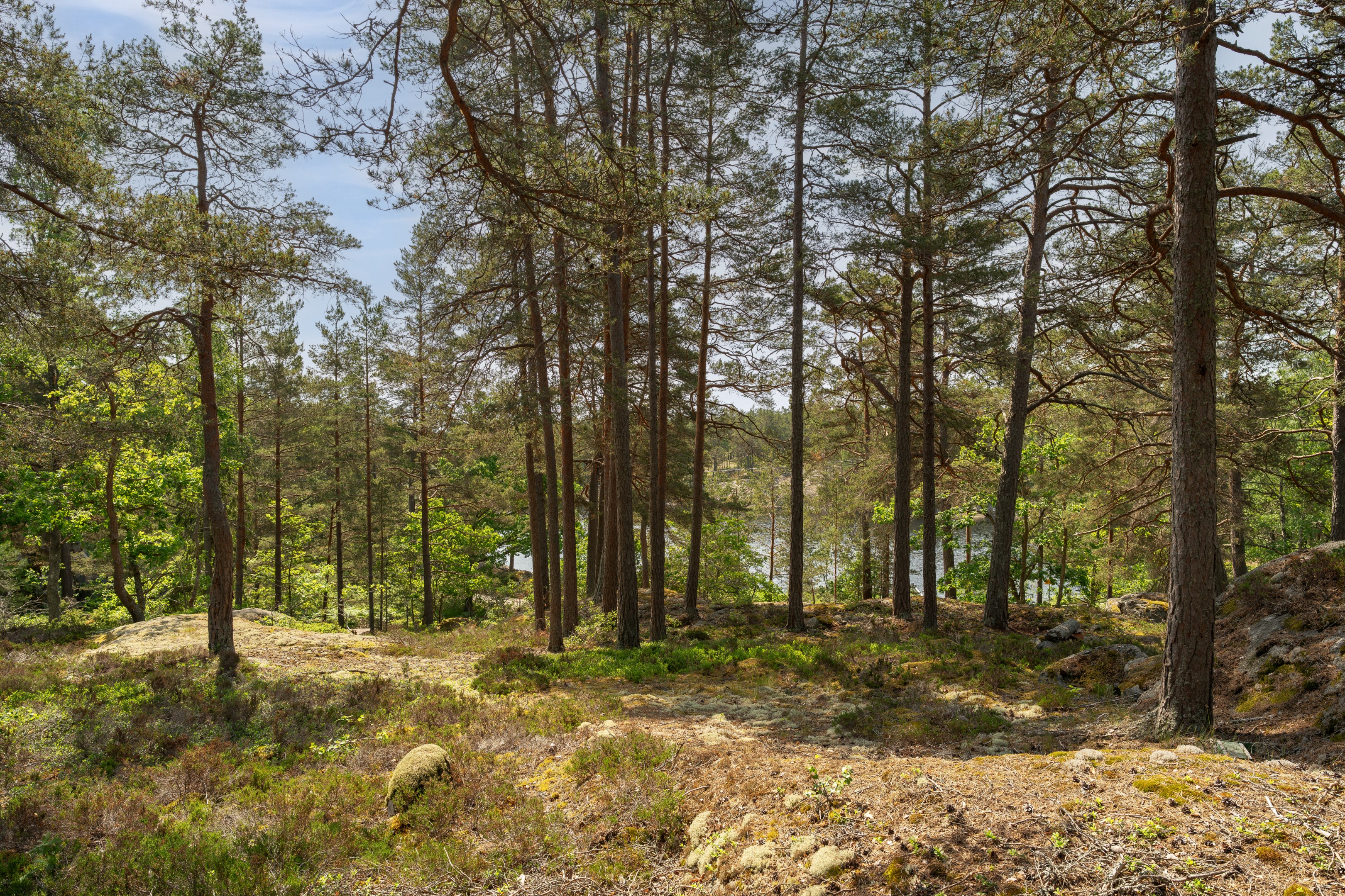 Bostadsbild från Filanvägen 101, Till salu i Ingarö - Hanskroka, Värmdö