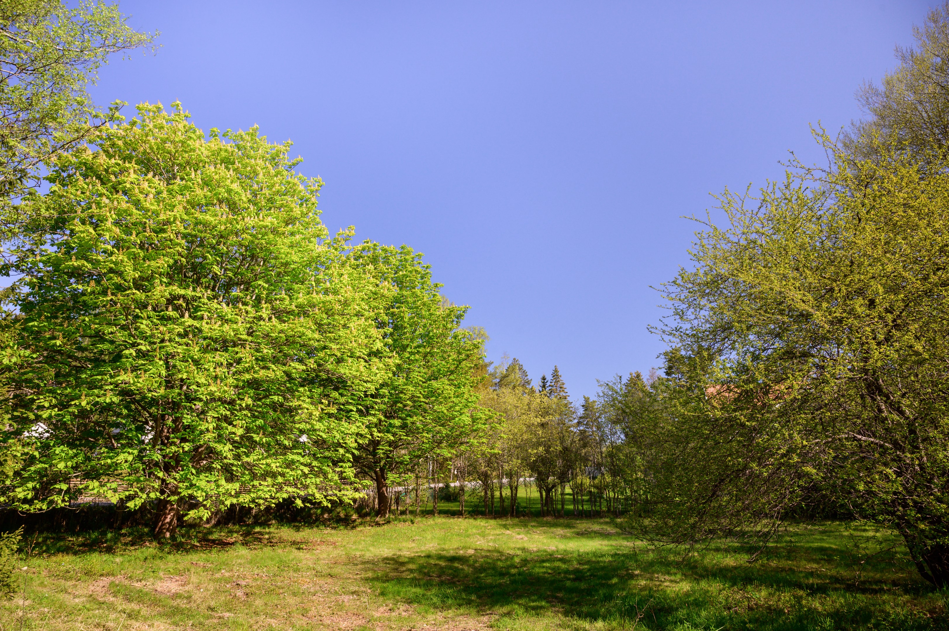Bostadsbild från Strömmadalsvägen 2, Såld i Strömma, Värmdö