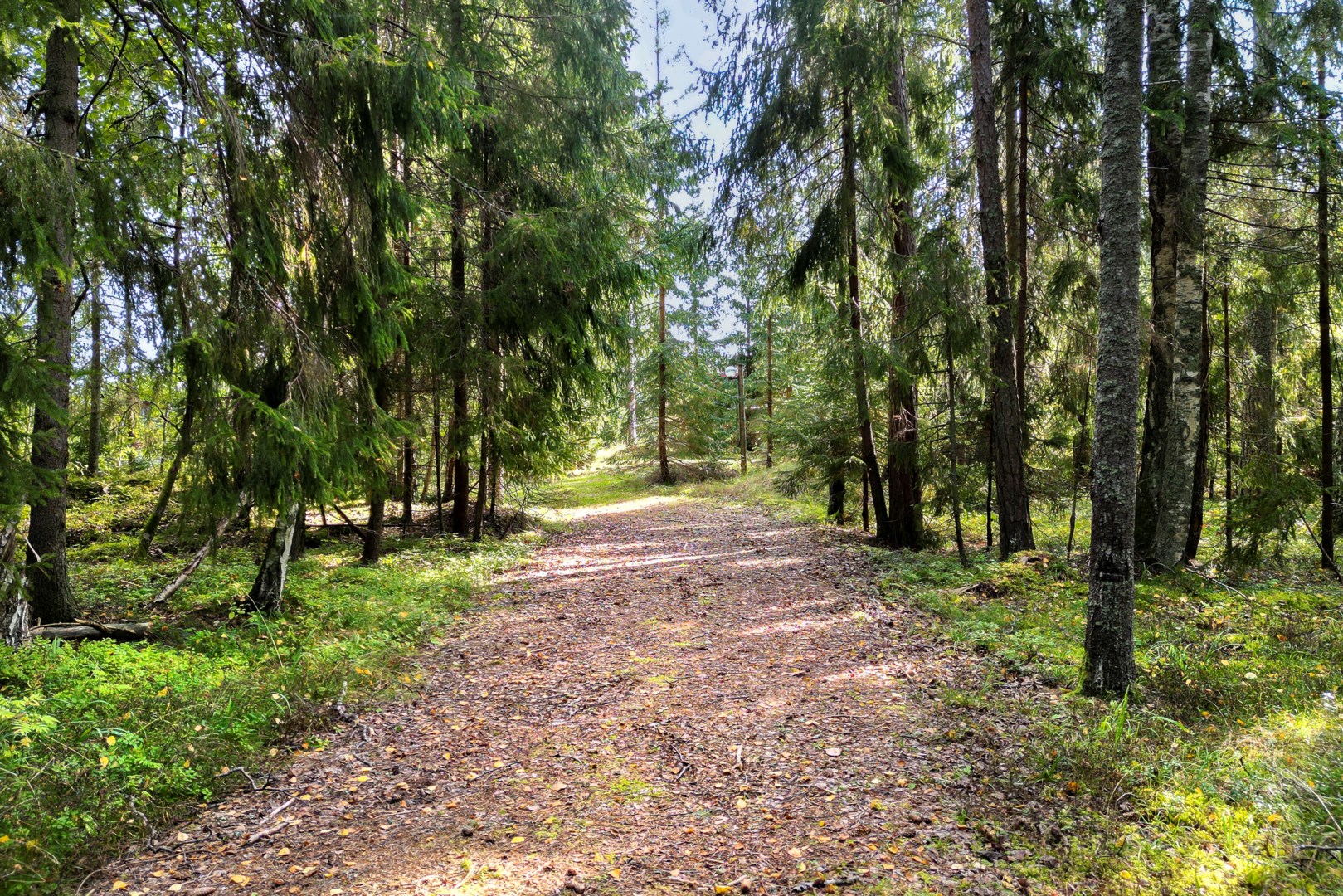 Bostadsbild från Strandvägen 18, Till salu i Öregrund, Östhammar