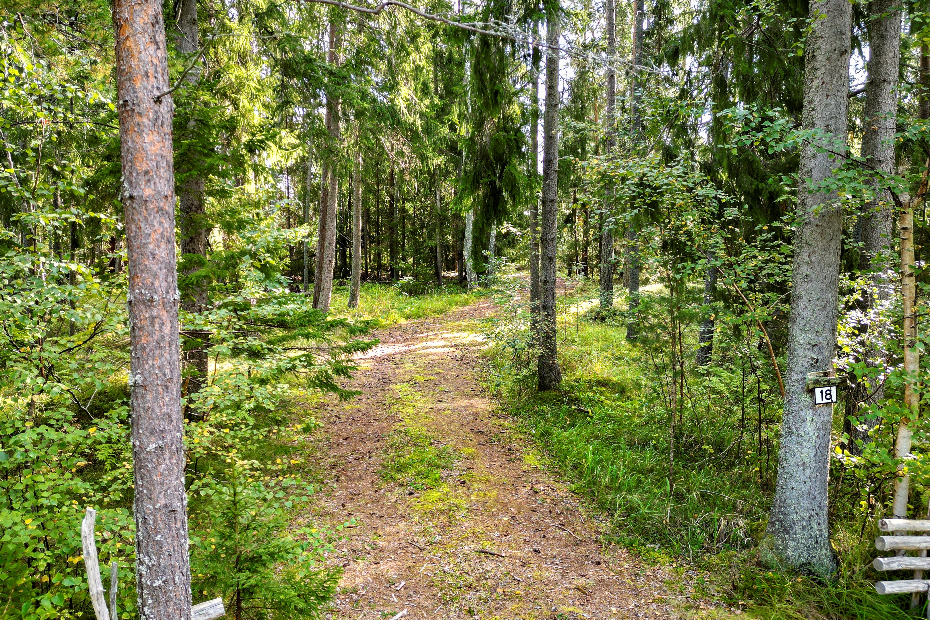 Bostadsbild från Strandvägen 18, Såld i Öregrund, Östhammar
