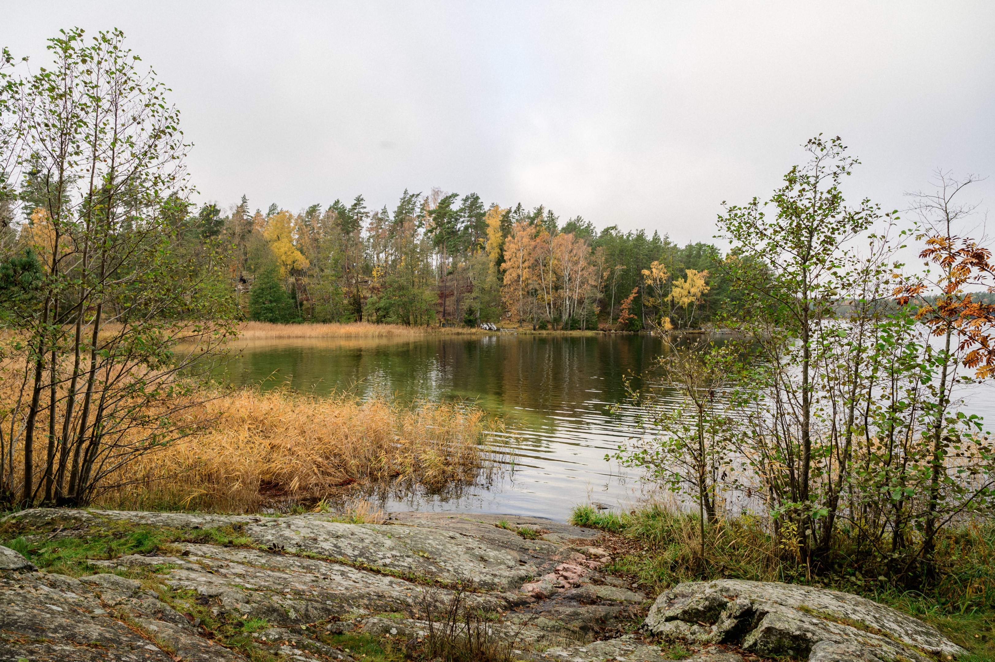 Miljöbild Speviken.