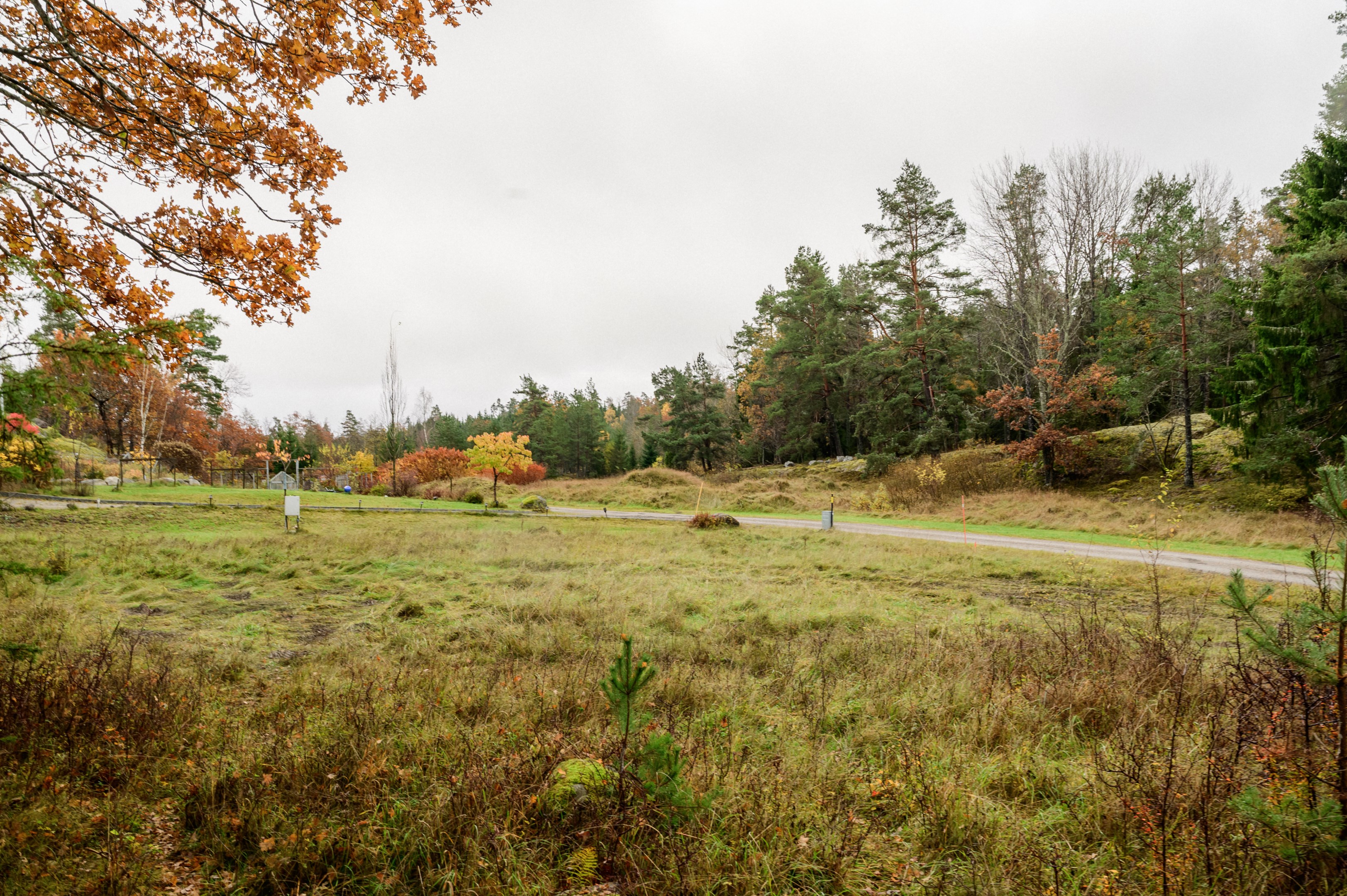 Vy över tomtens i riktning mot tomtgräns i sydost.
