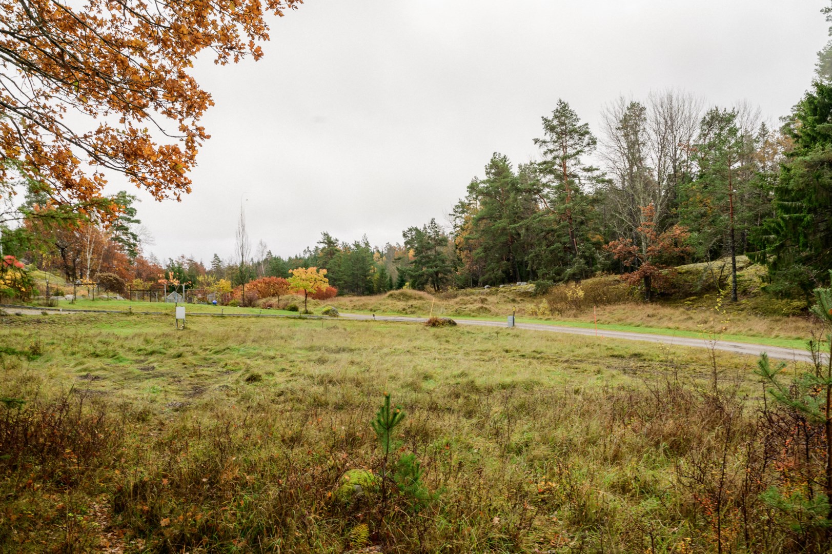 Vy över tomtens i riktning mot tomtgräns i sydost.