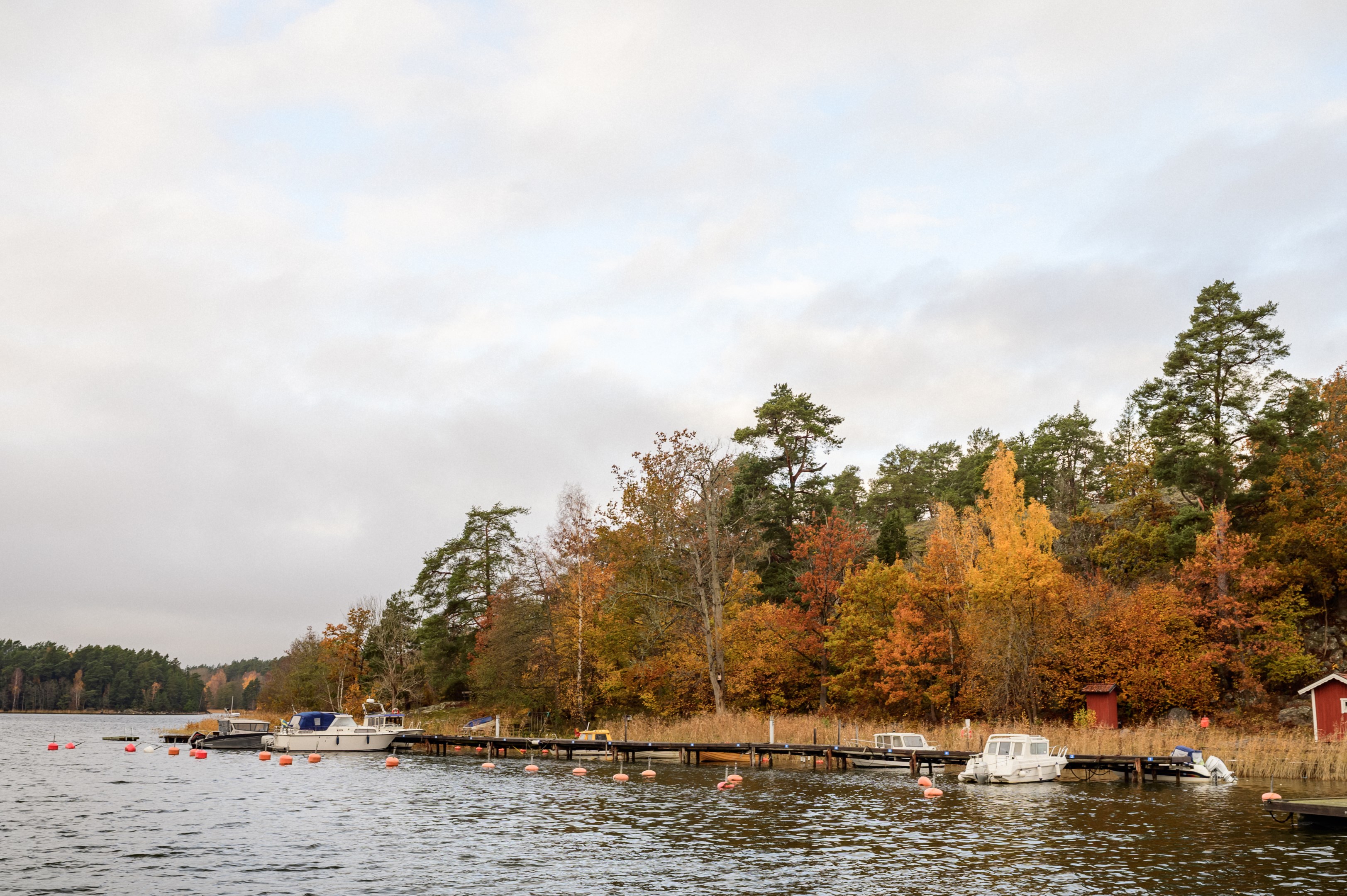 Samfällighetens brygga i Hemviken.