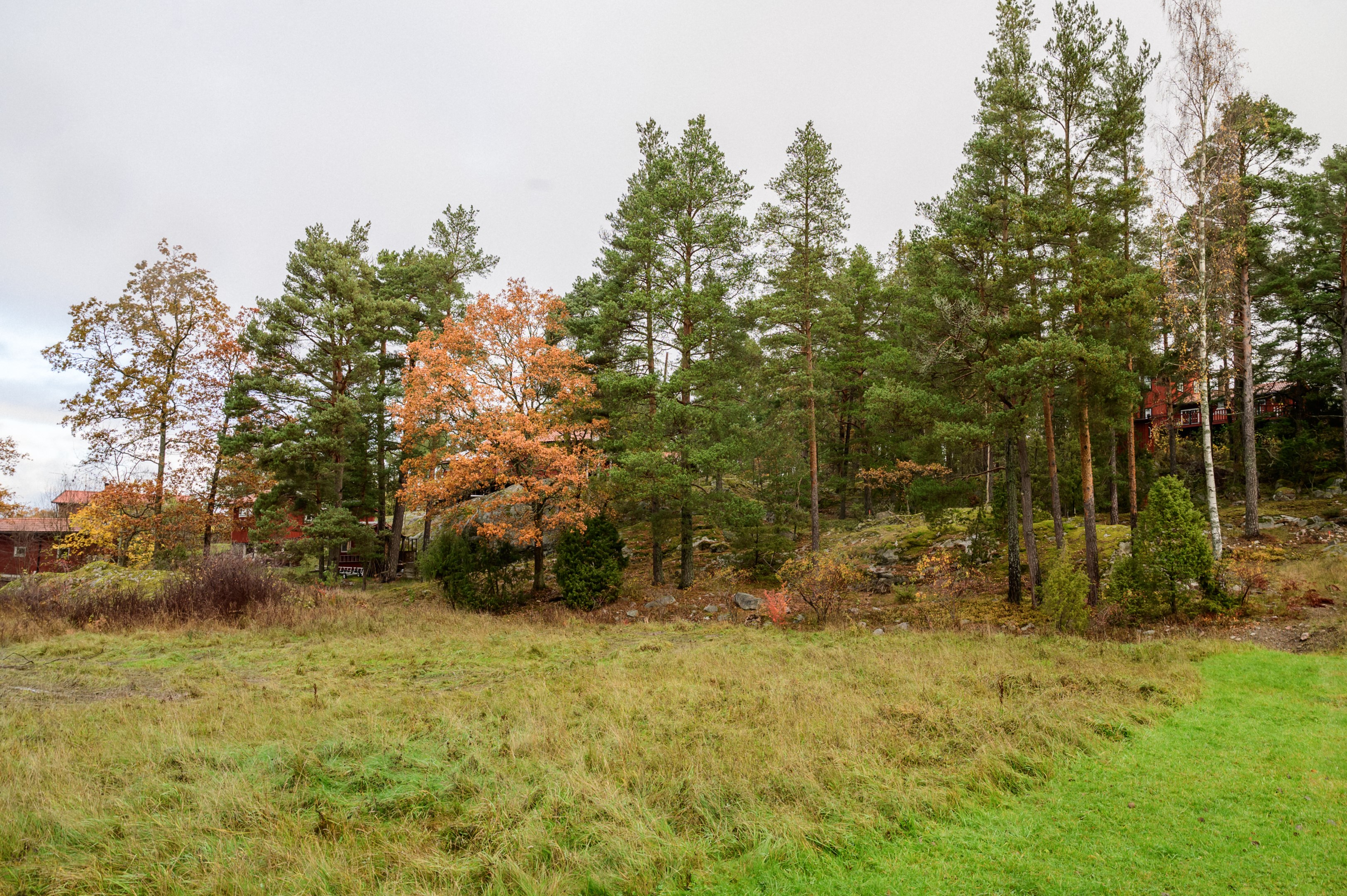 Tomten är lätt att bebygga och lämpar sig lika väl för fritids- som permanentboende.