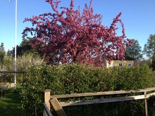 Bostadsbild från Norbyvägen 80A, Såld i Norby, Uppsala
