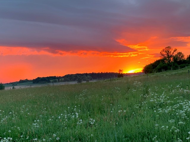 Bostadsbild från Norbyvägen 80A, Såld i Norby, Uppsala