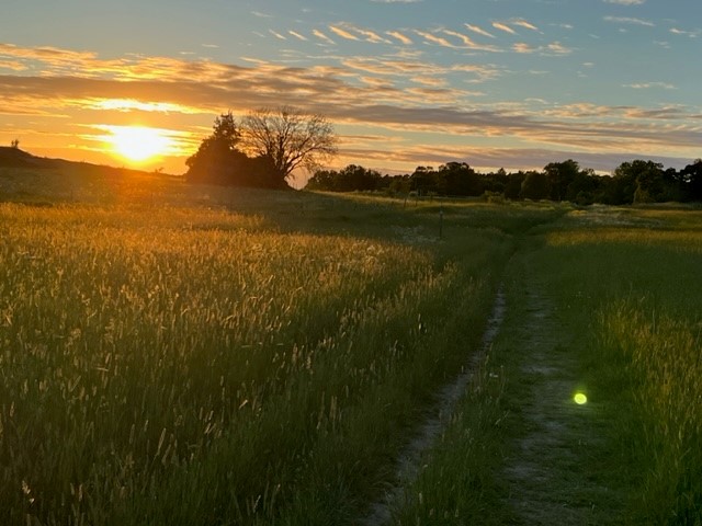 Bostadsbild från Norbyvägen 80A, Såld i Norby, Uppsala