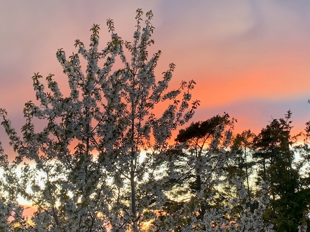 Bostadsbild från Norbyvägen 80A, Såld i Norby, Uppsala