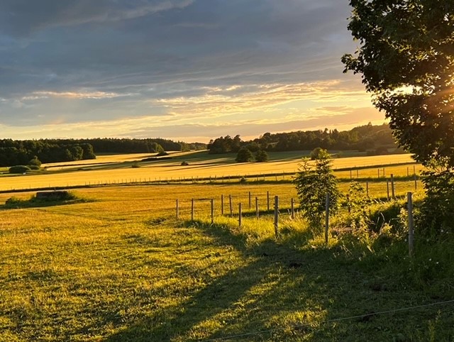 Bostadsbild från Norbyvägen 80A, Såld i Norby, Uppsala