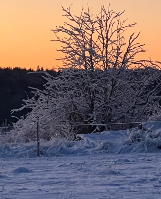 Bostadsbild från Norbyvägen 80A, Såld i Norby, Uppsala