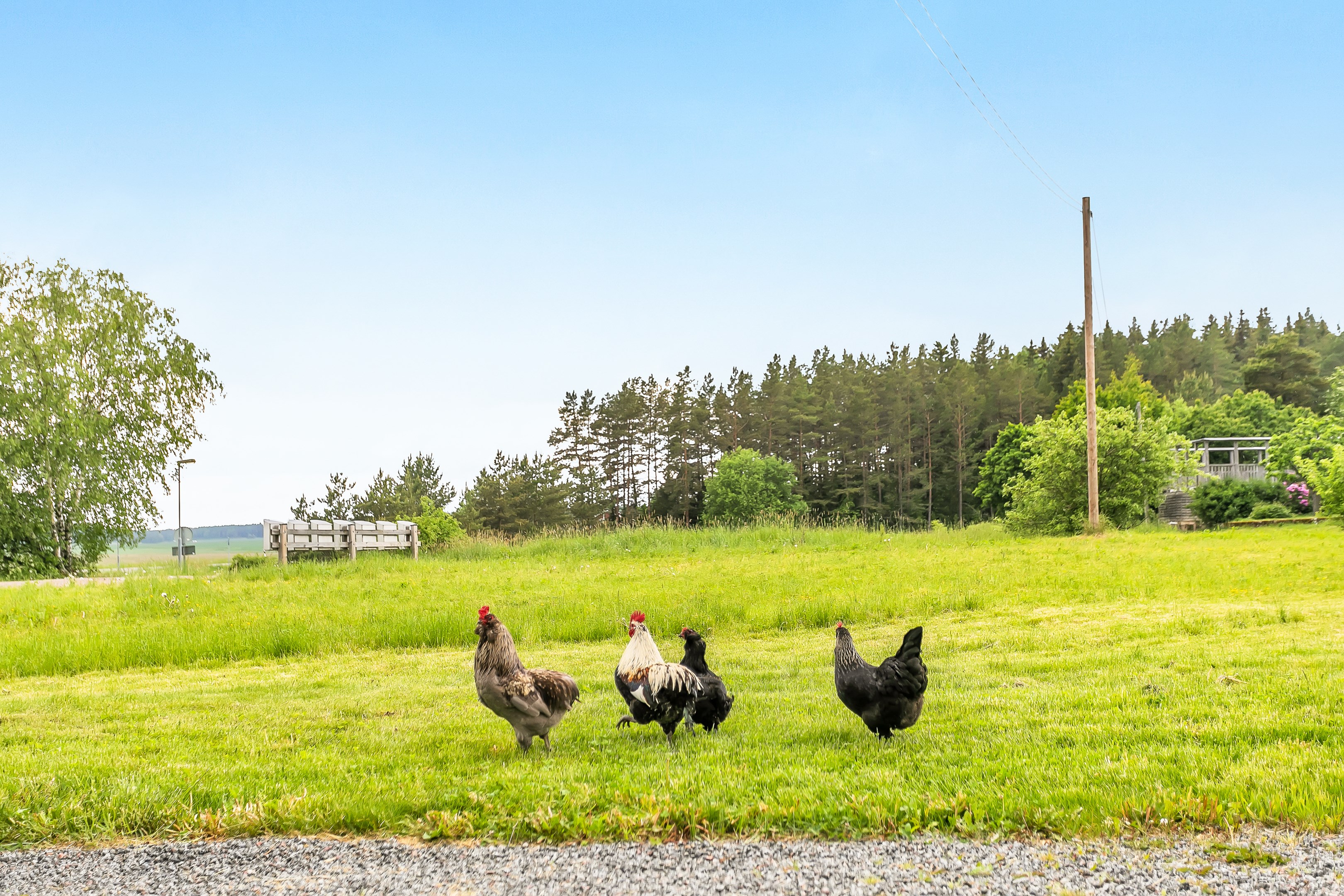 Bostadsbild från Läby-Västerby 744, Såld i Läby-Västerby, Uppsala