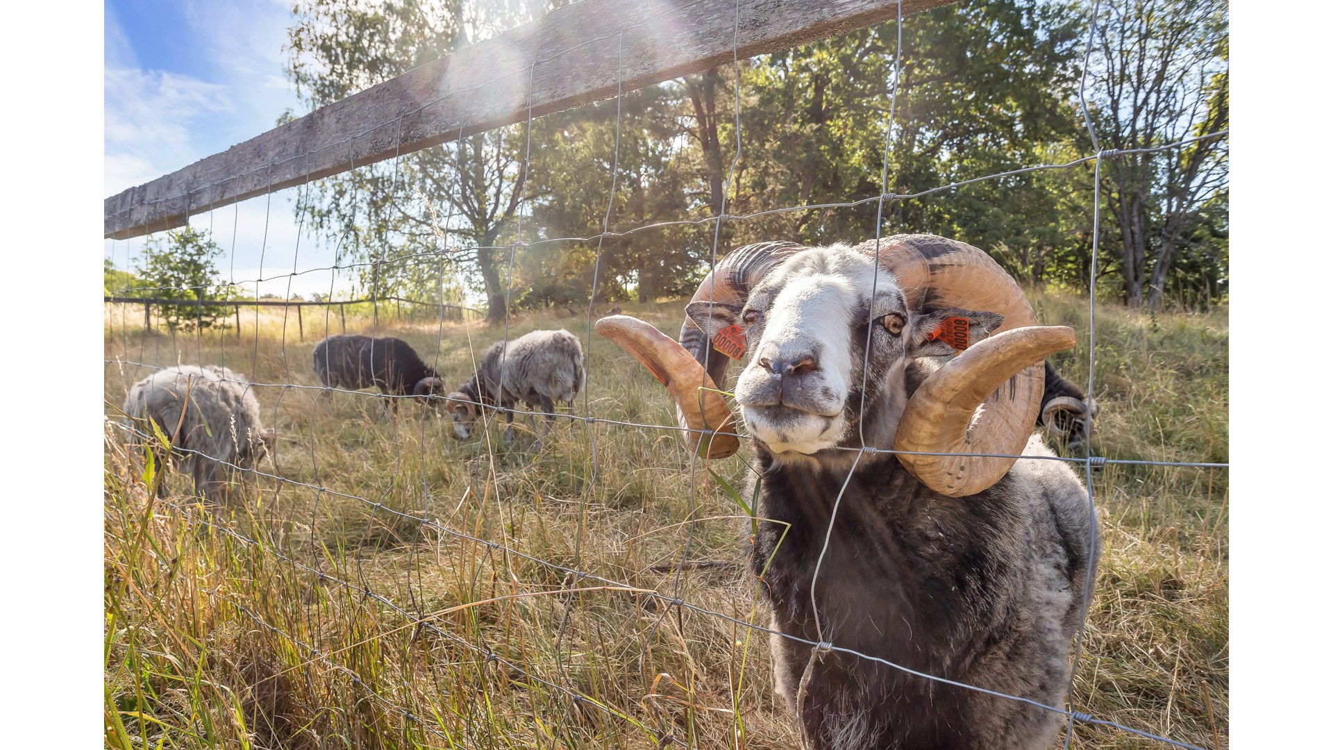 Bostadsbild från Säves väg 1, Såld i Ekeby/Flogsta, Uppsala