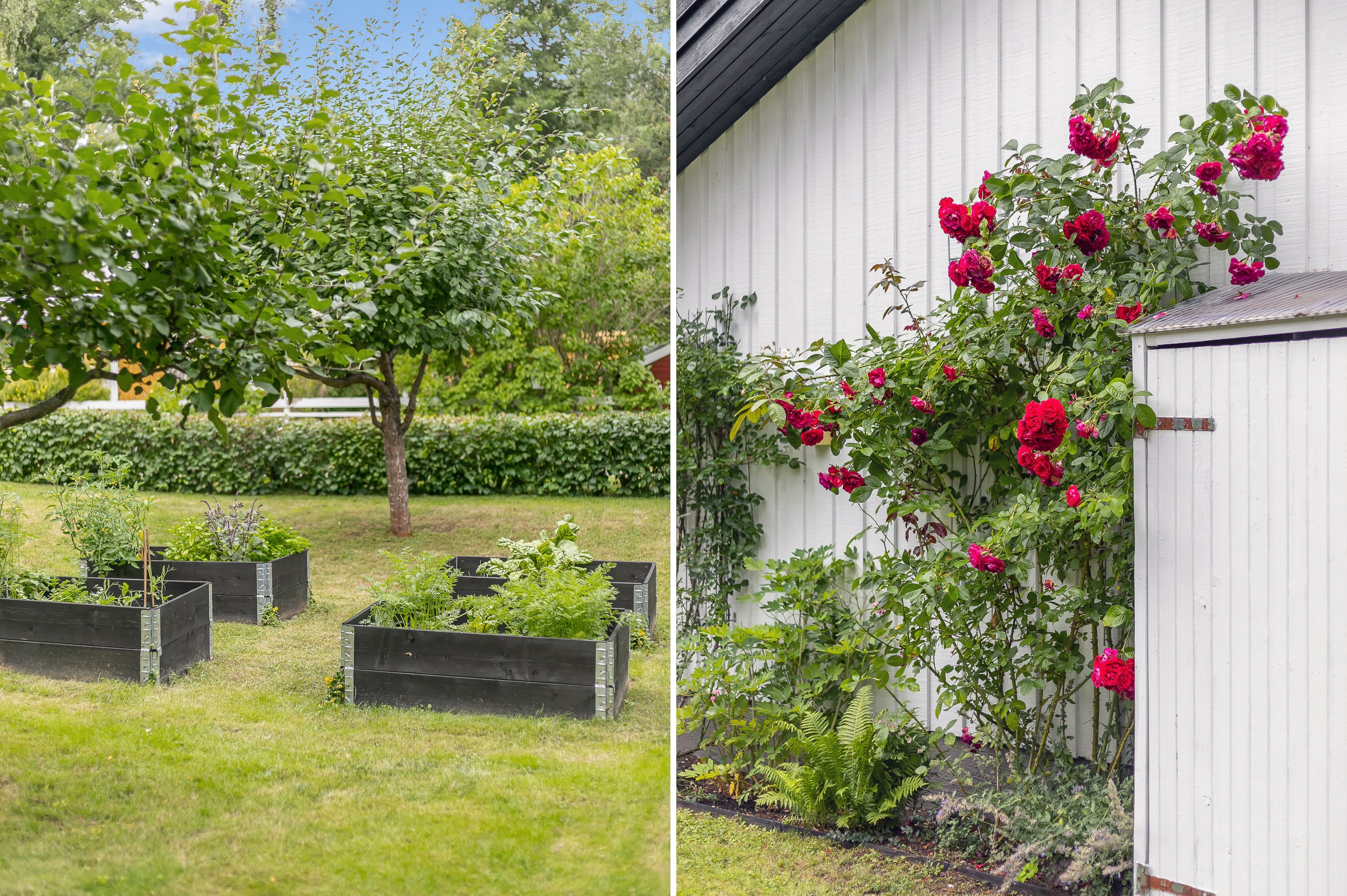 Bostadsbild från Dalbovägen 39B, Såld i Sunnersta, Uppsala