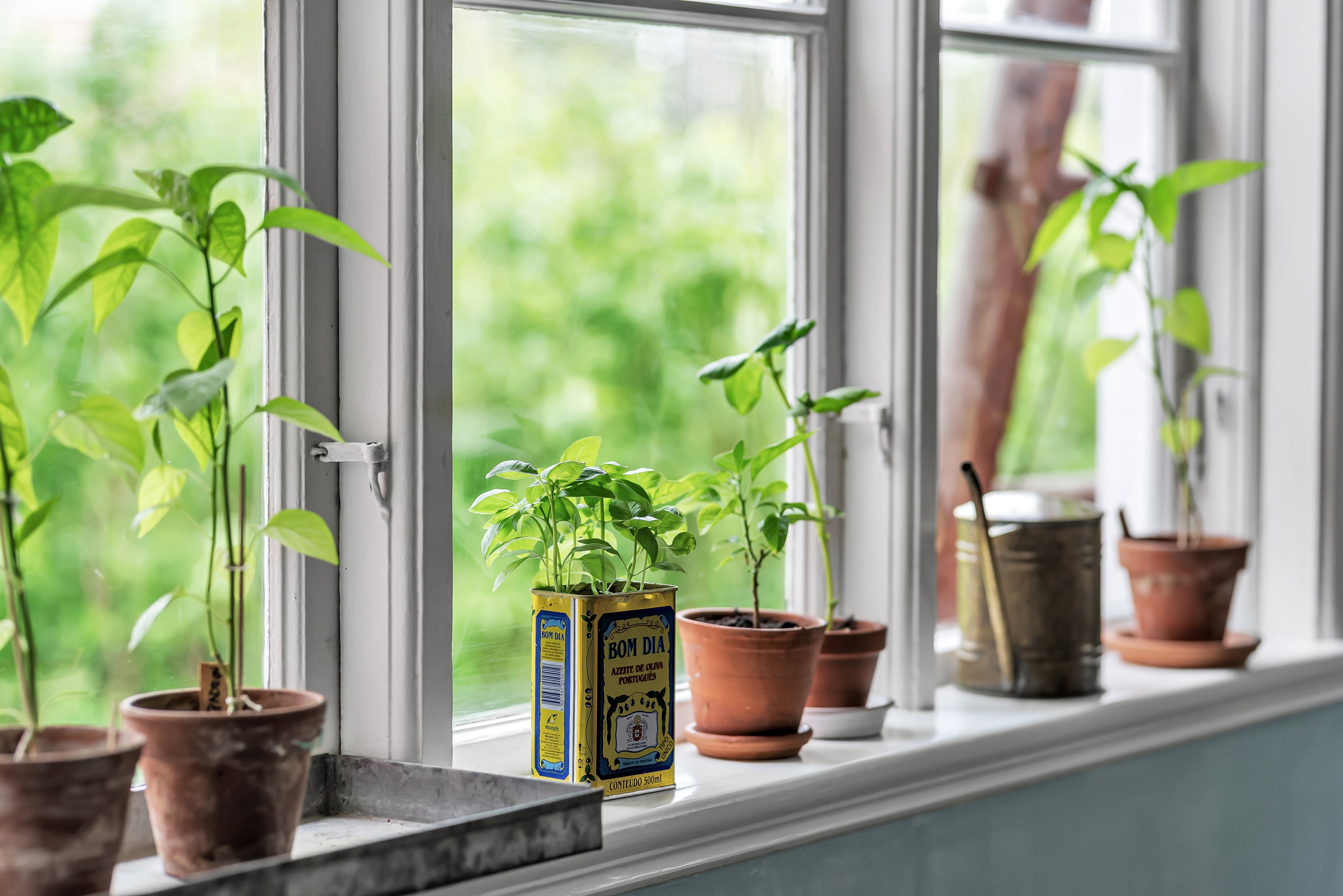 Bostadsbild från Jumkils-Hemmingsbo 11, Såld i Jumkil, Uppsala