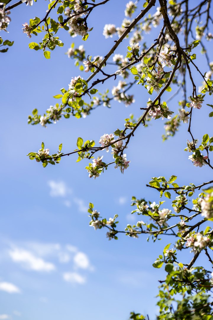 Bostadsbild från Jumkils-Hemmingsbo 11, Såld i Jumkil, Uppsala