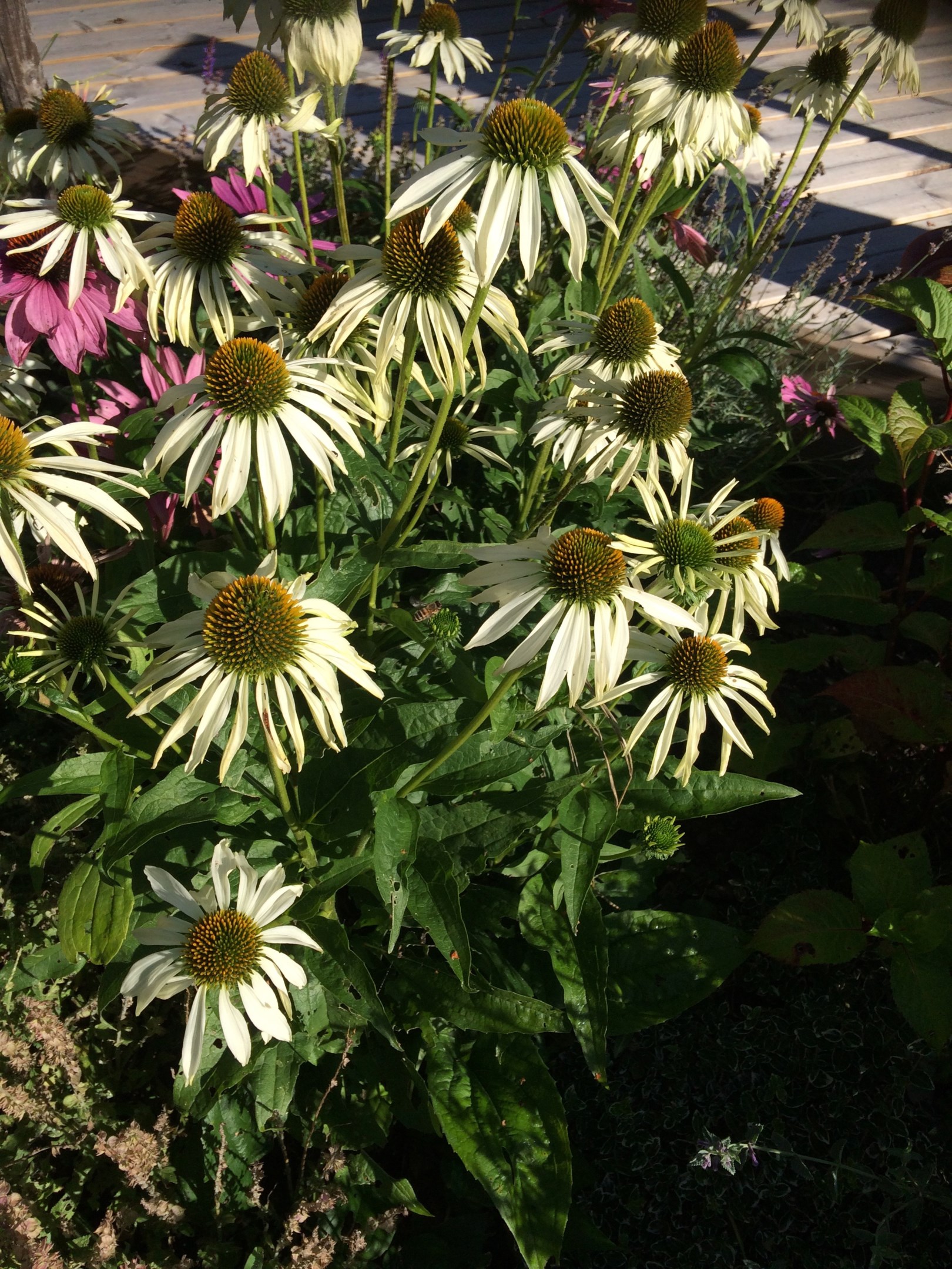 Bostadsbild från Vasstigen 3, Såld i Vreta, Uppsala