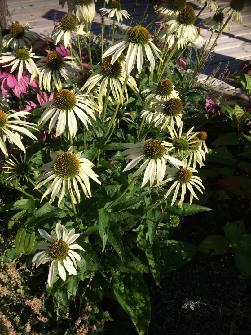 Bostadsbild från Vasstigen 3, Såld i Vreta, Uppsala