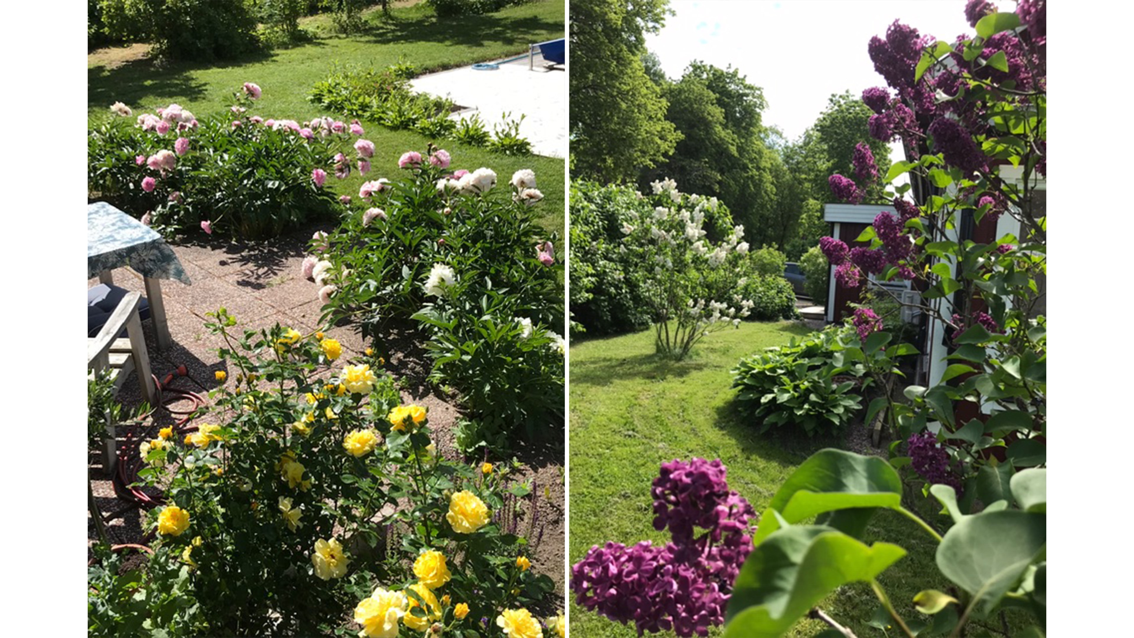 Bostadsbild från Alsta 146, Såld i Börje, Uppsala