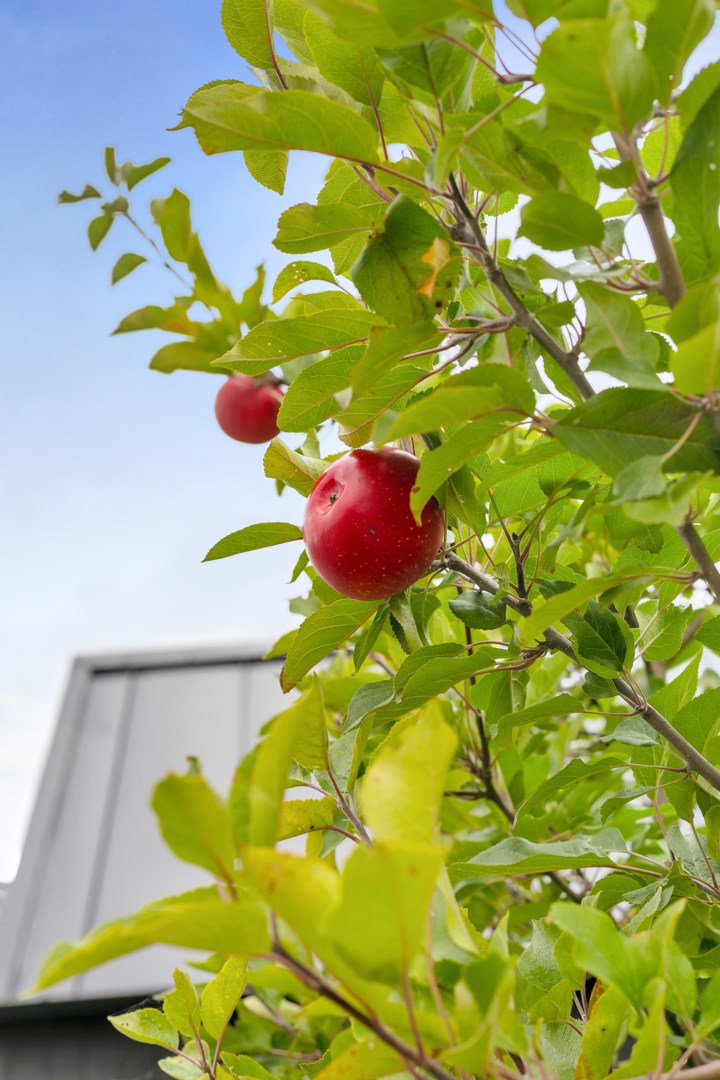 Bostadsbild från Rusthållarvägen 39, Såld i Näs-Focksta, Uppsala