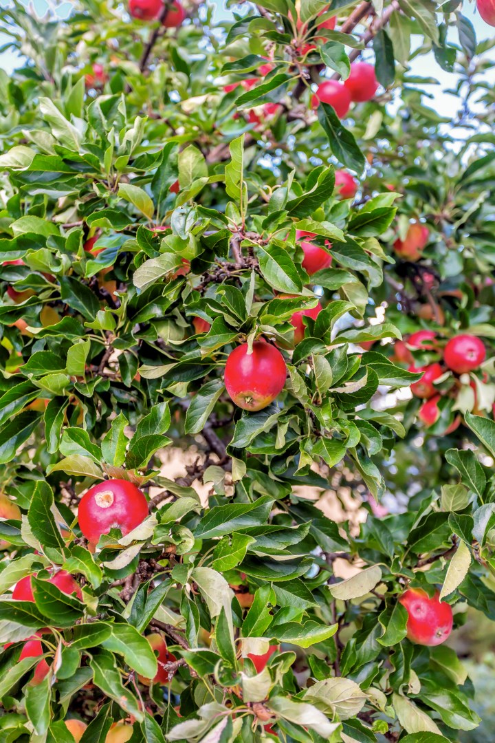 Bostadsbild från Plommonvägen 127, Såld i Västra Ängby, Knivsta