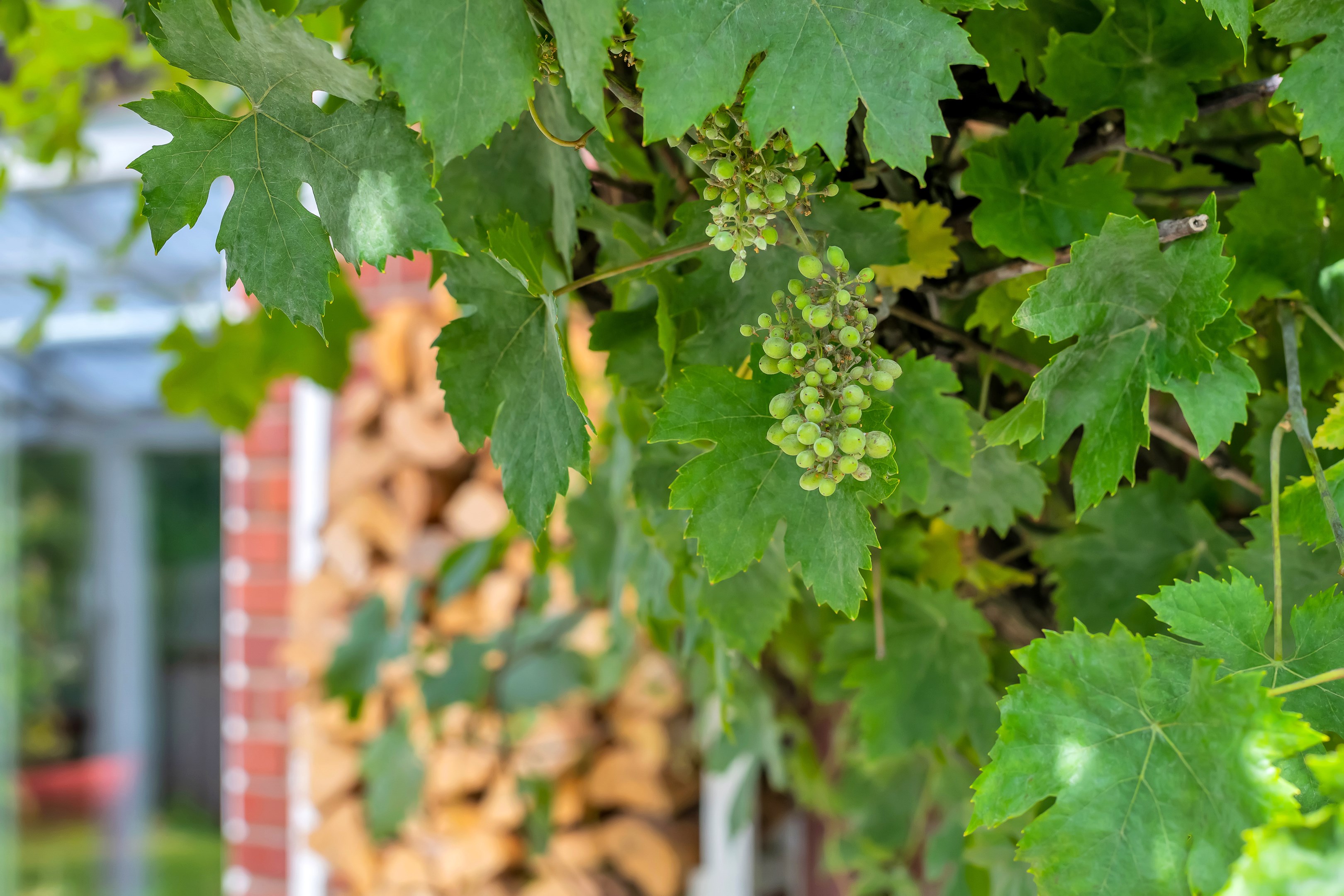 Bostadsbild från Södra Parkvägen 6B, Såld i Norby, Uppsala