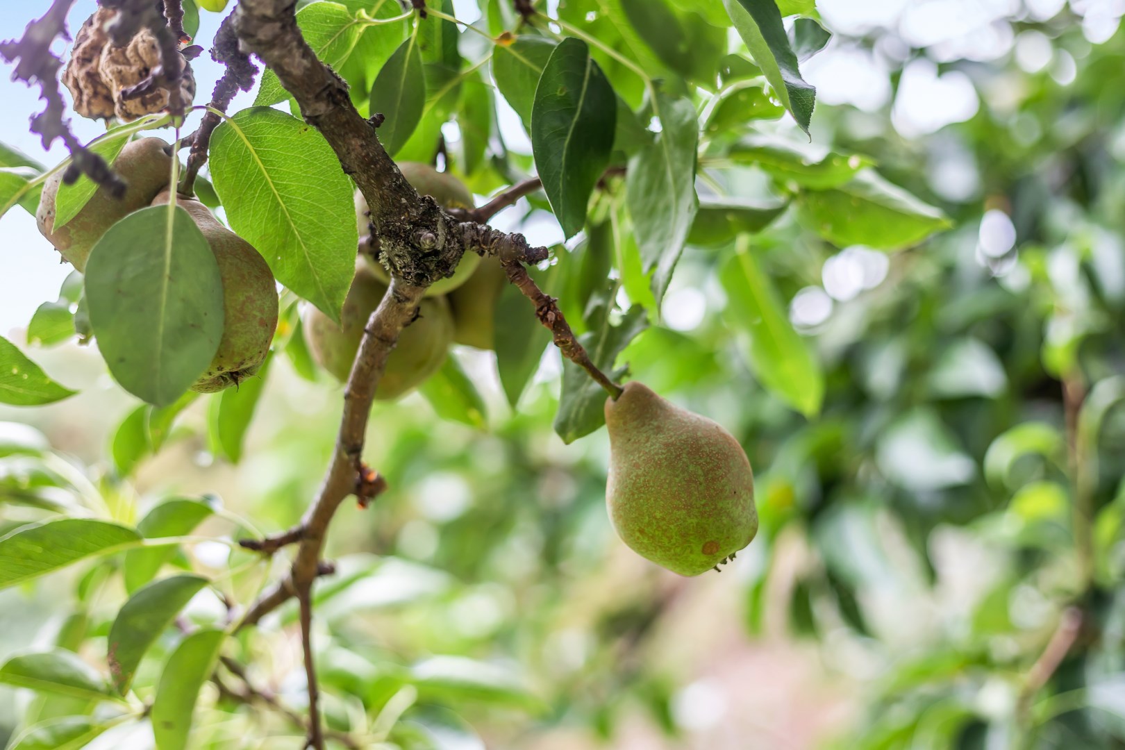 Bostadsbild från Sandmovägen 2, Såld i Valsätra, Uppsala