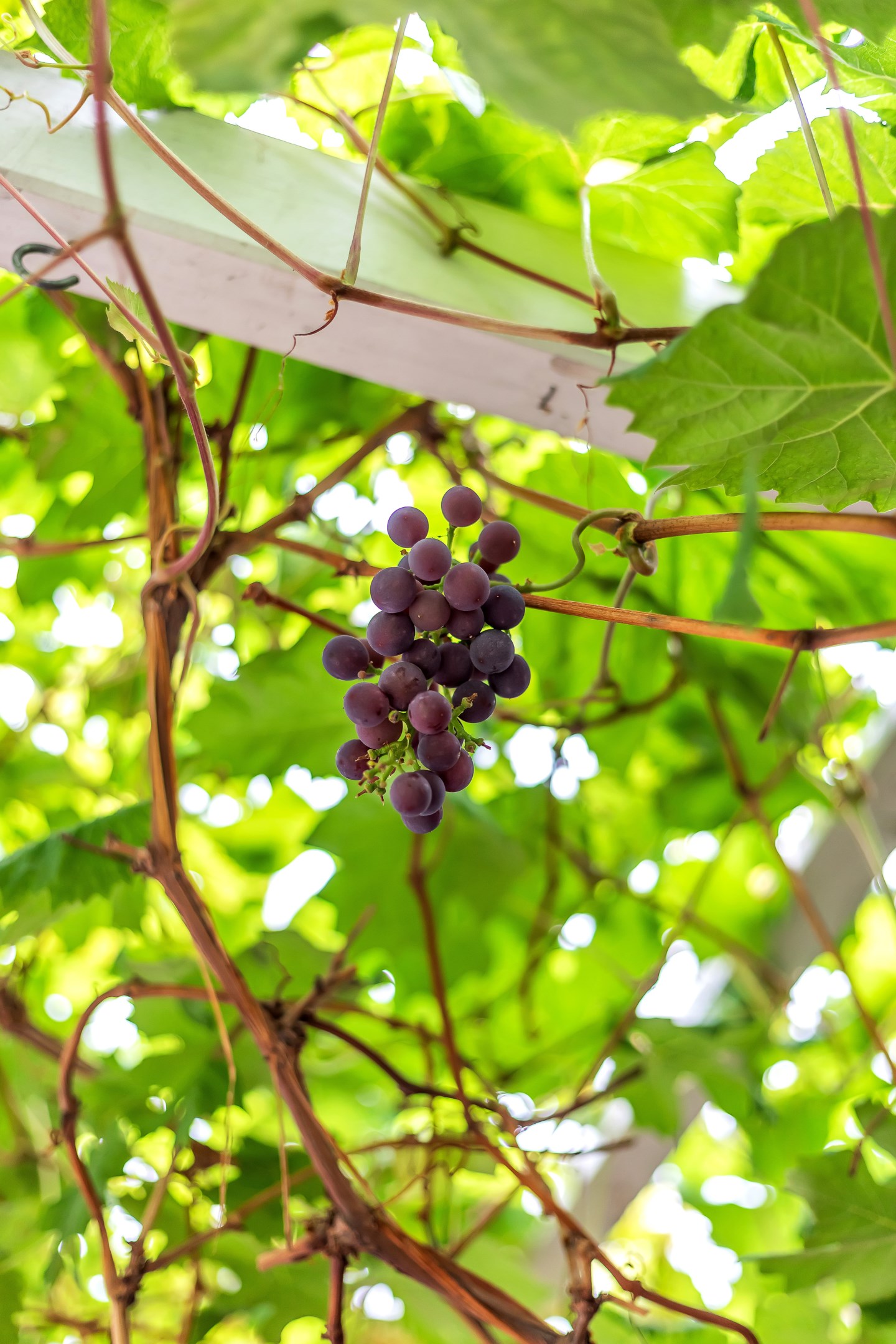 Bostadsbild från Sandmovägen 2, Såld i Valsätra, Uppsala