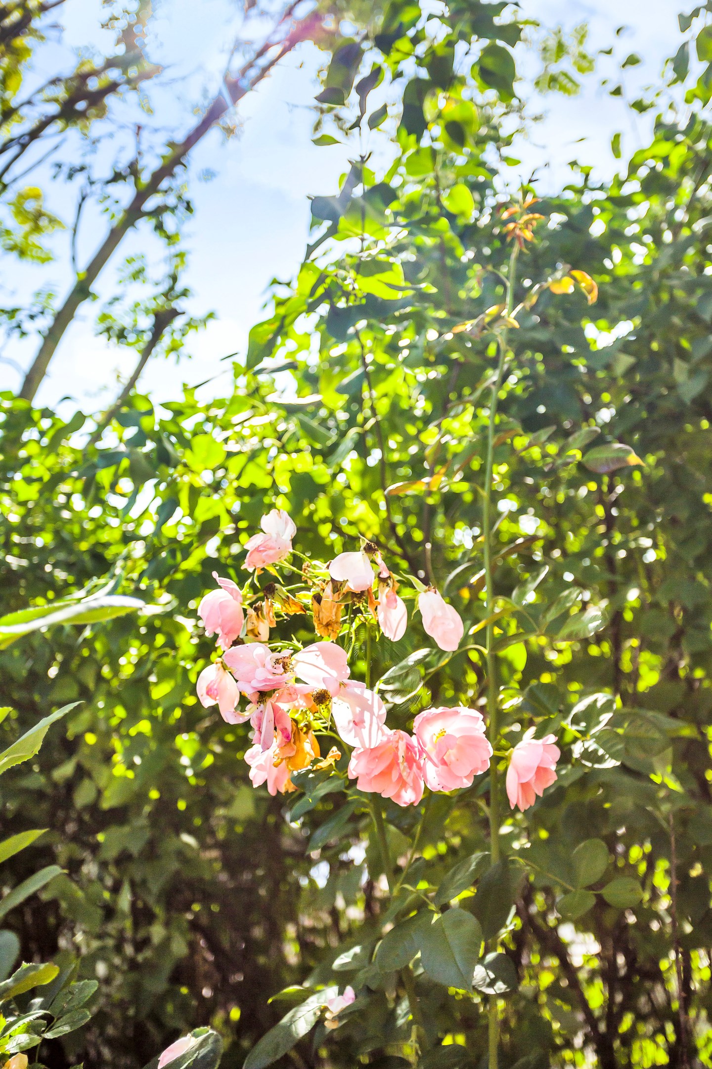 Bostadsbild från Rubinvägen 3, Såld i Herrhagen, Uppsala
